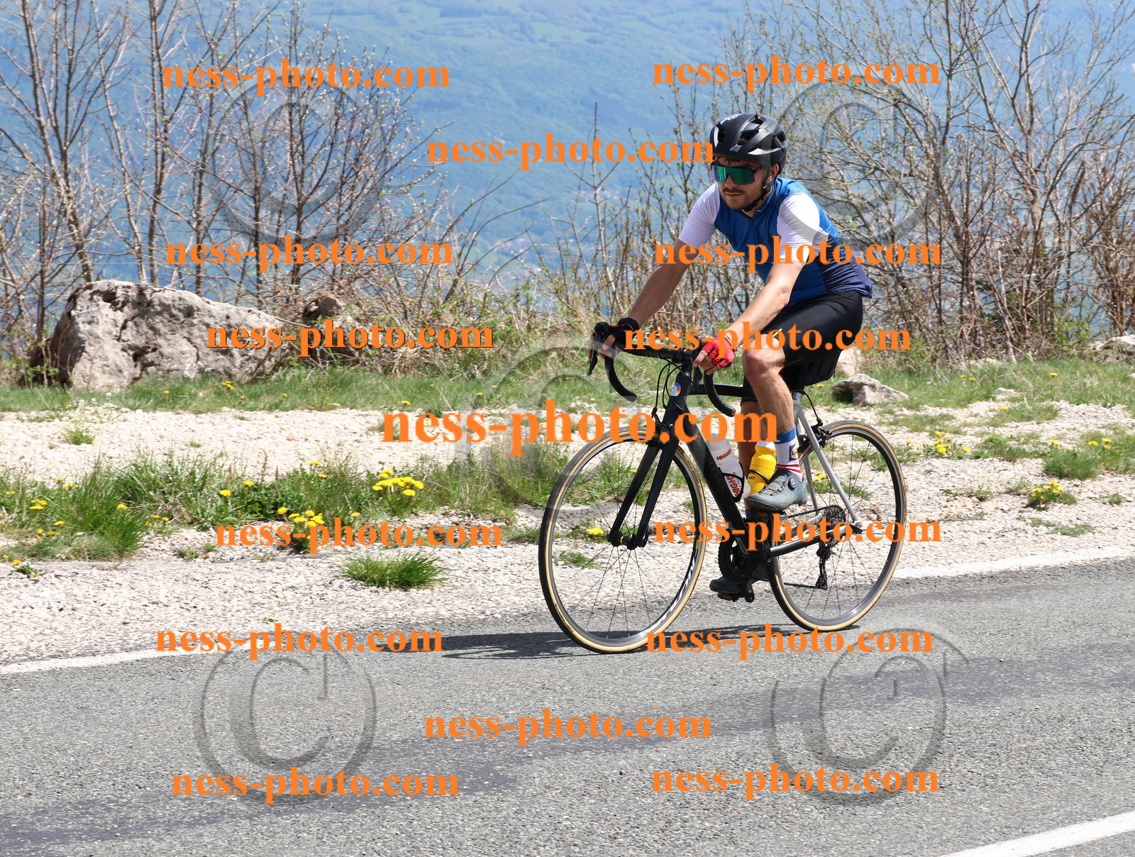 Col du Grand Colombier (885).JPG