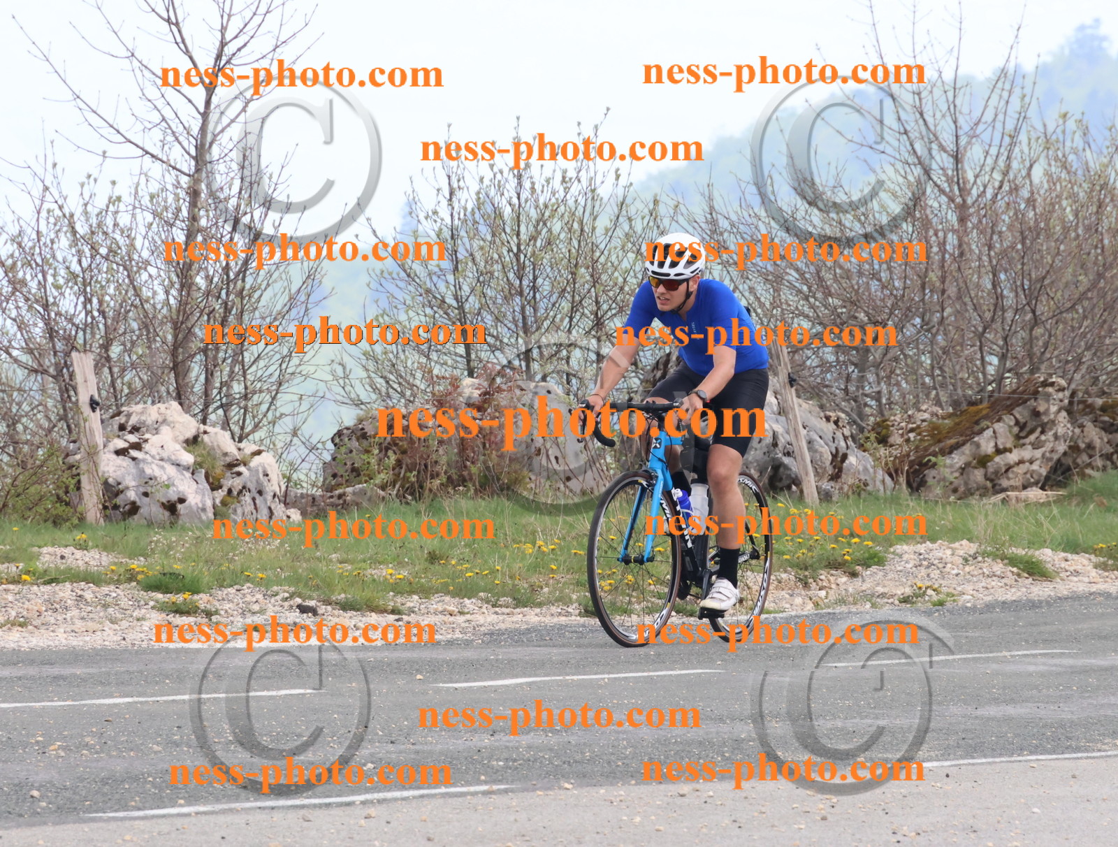 Col du Grand Colombier (249).JPG