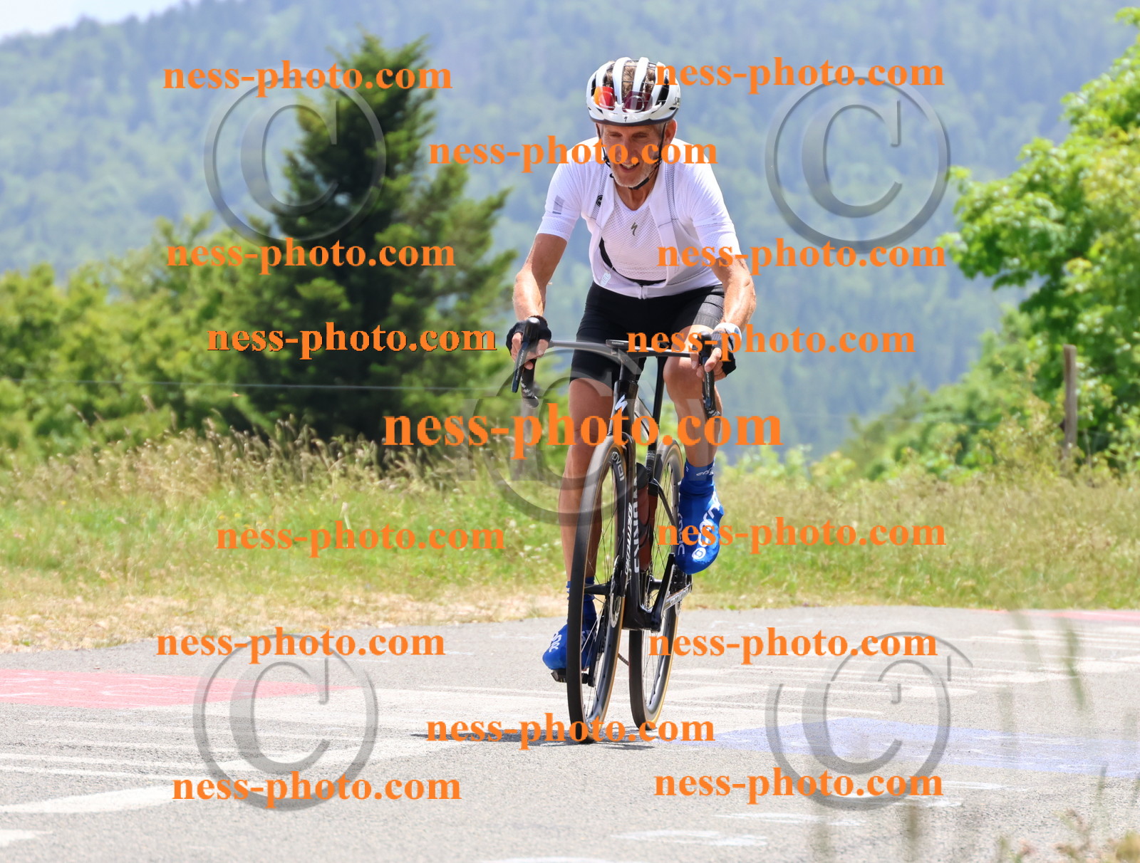 Col du grand Colombier (3107).JPG