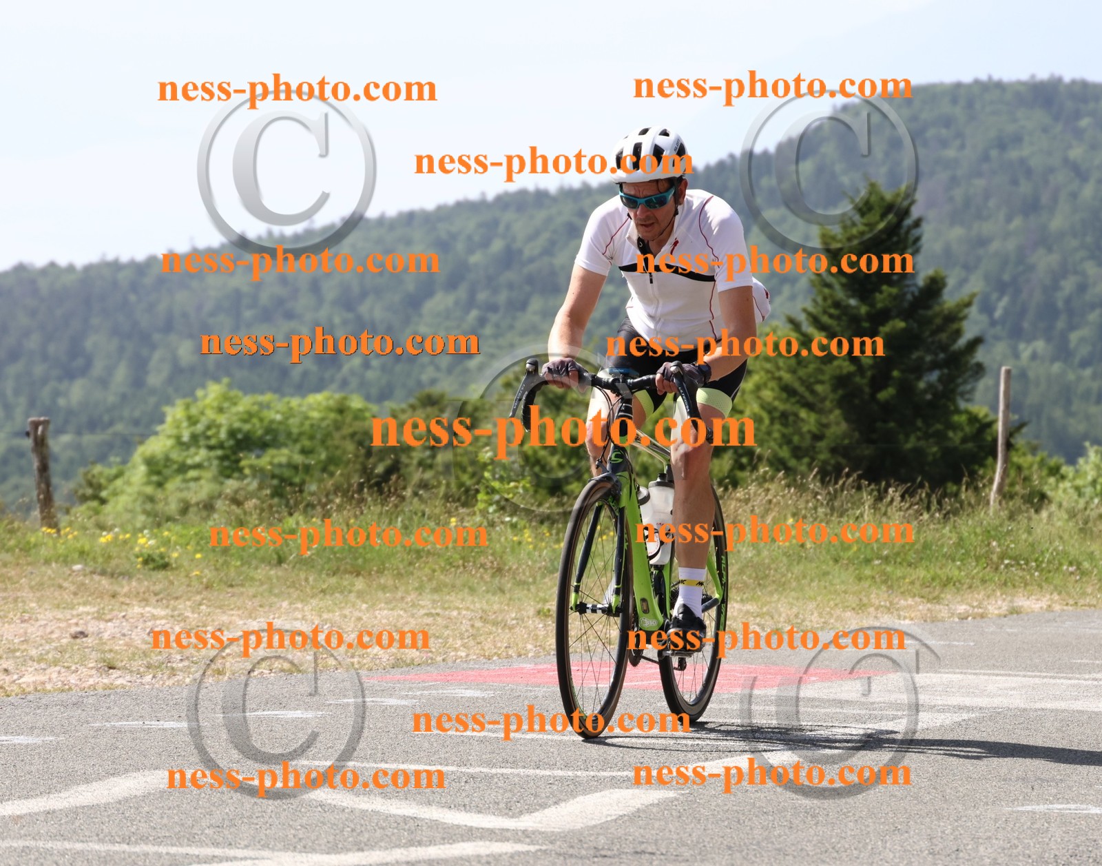 Col du grand Colombier (937).JPG