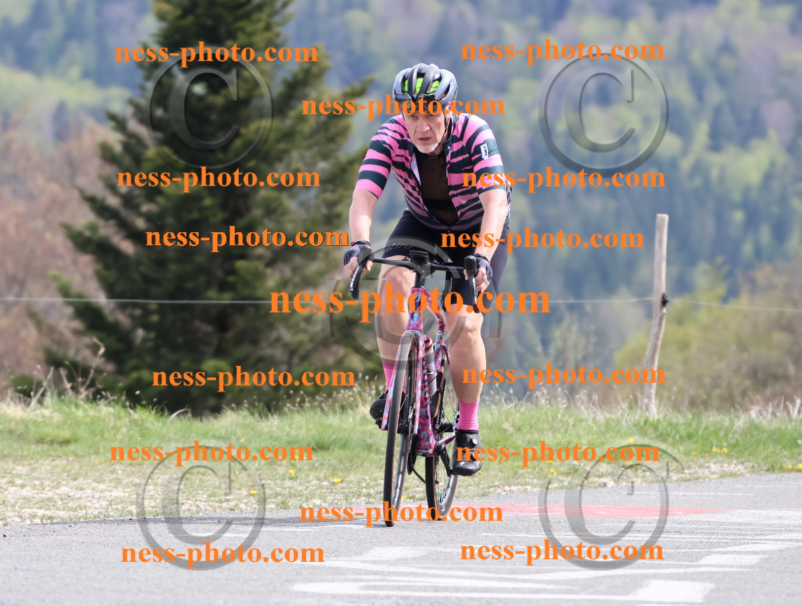 Col du Grand Colombier (1102).JPG