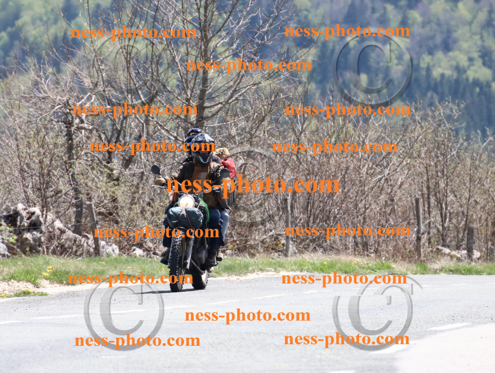 Col du Grand Colombier (82).JPG