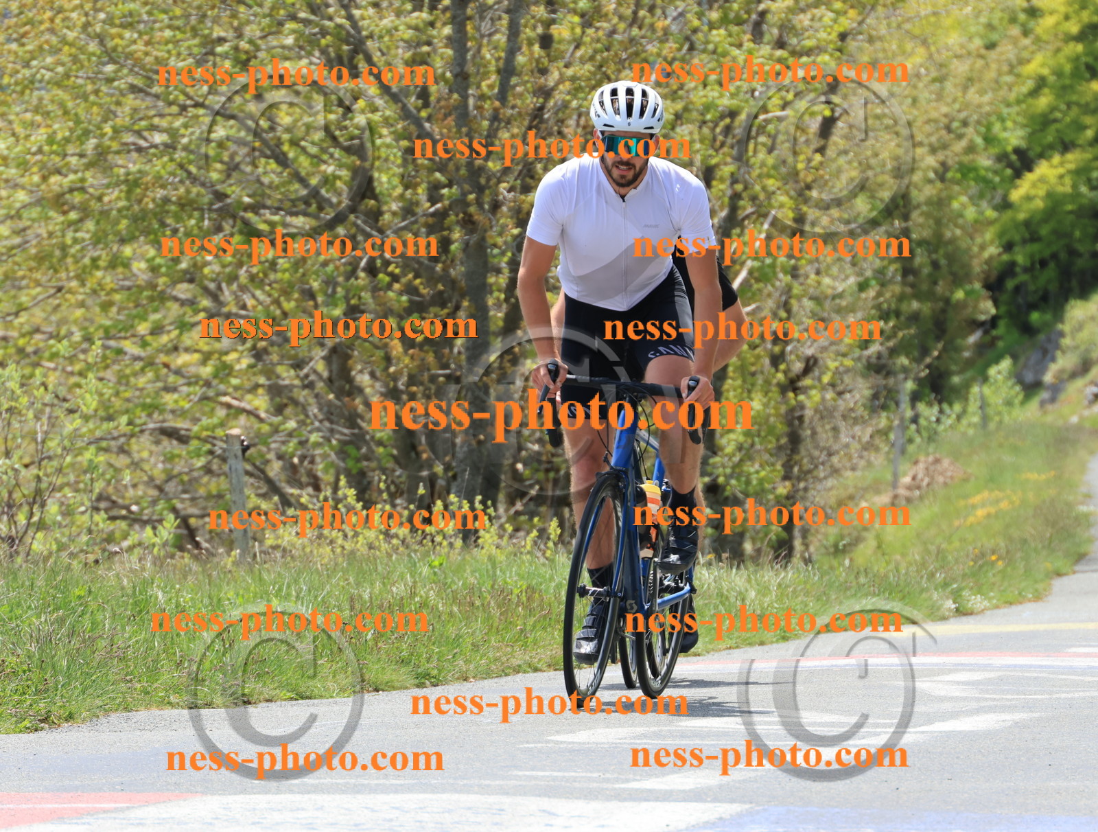 Col du Grand Colombier (344).JPG