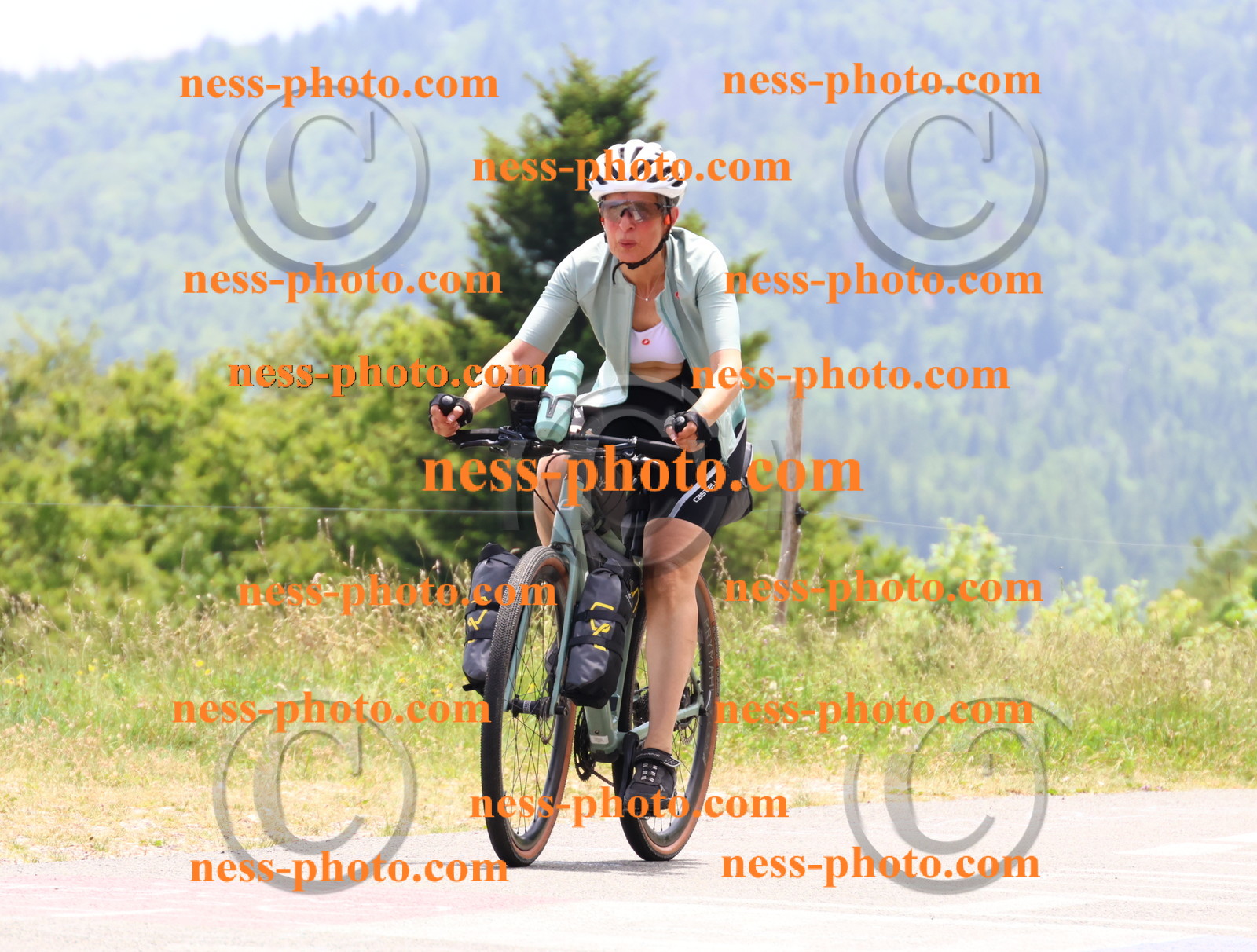 Col du grand Colombier (3056).JPG