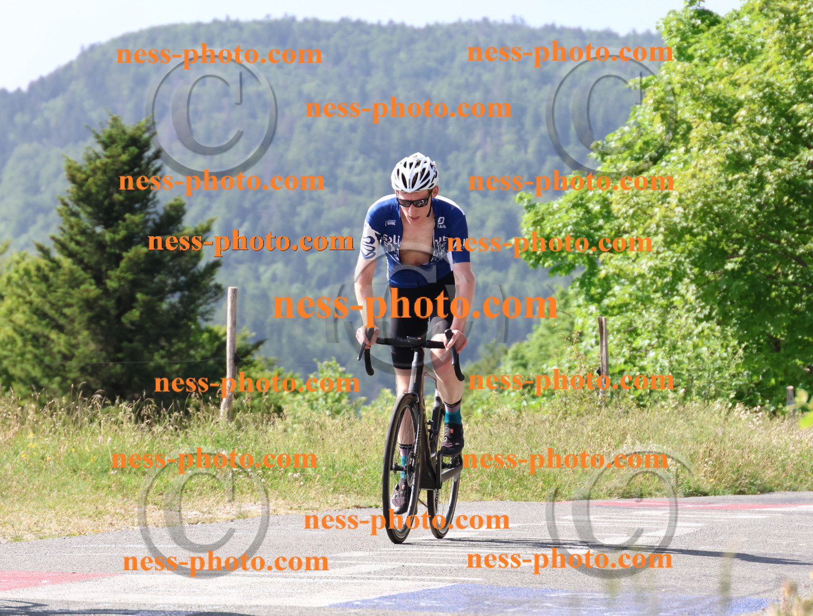 Col du grand Colombier (552).JPG