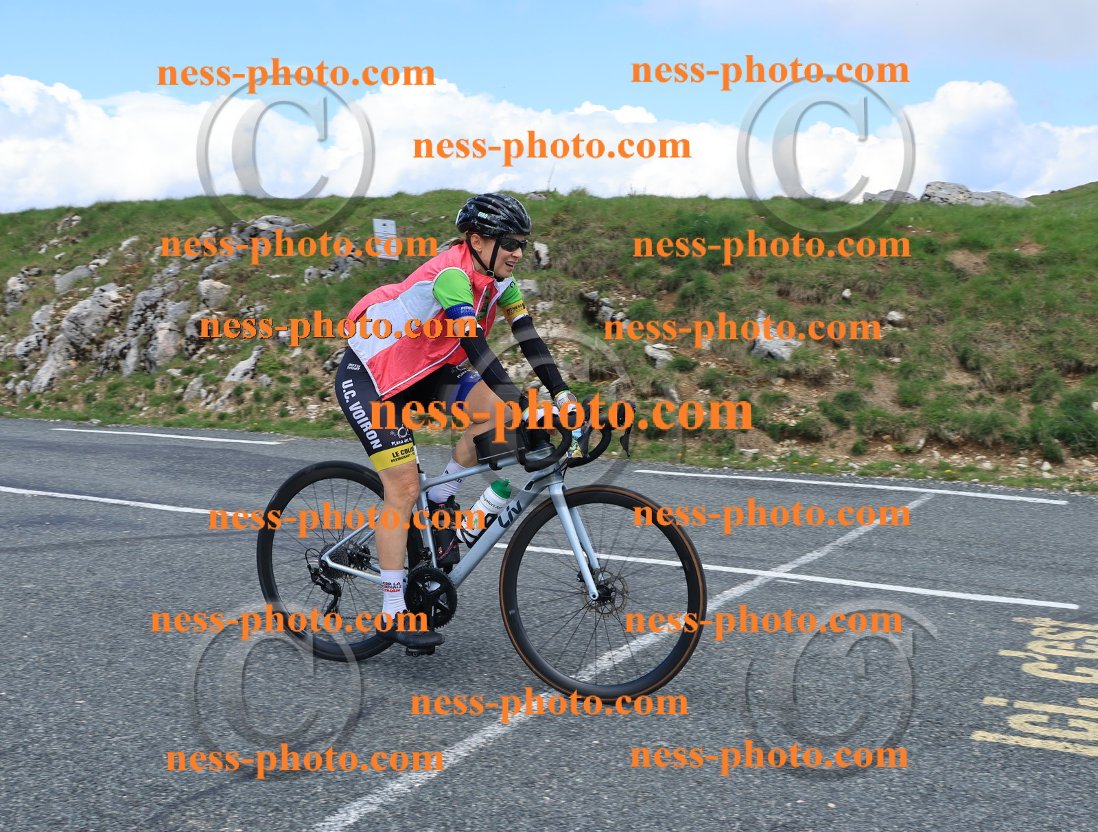 Col du Grand Colombier (2644).JPG