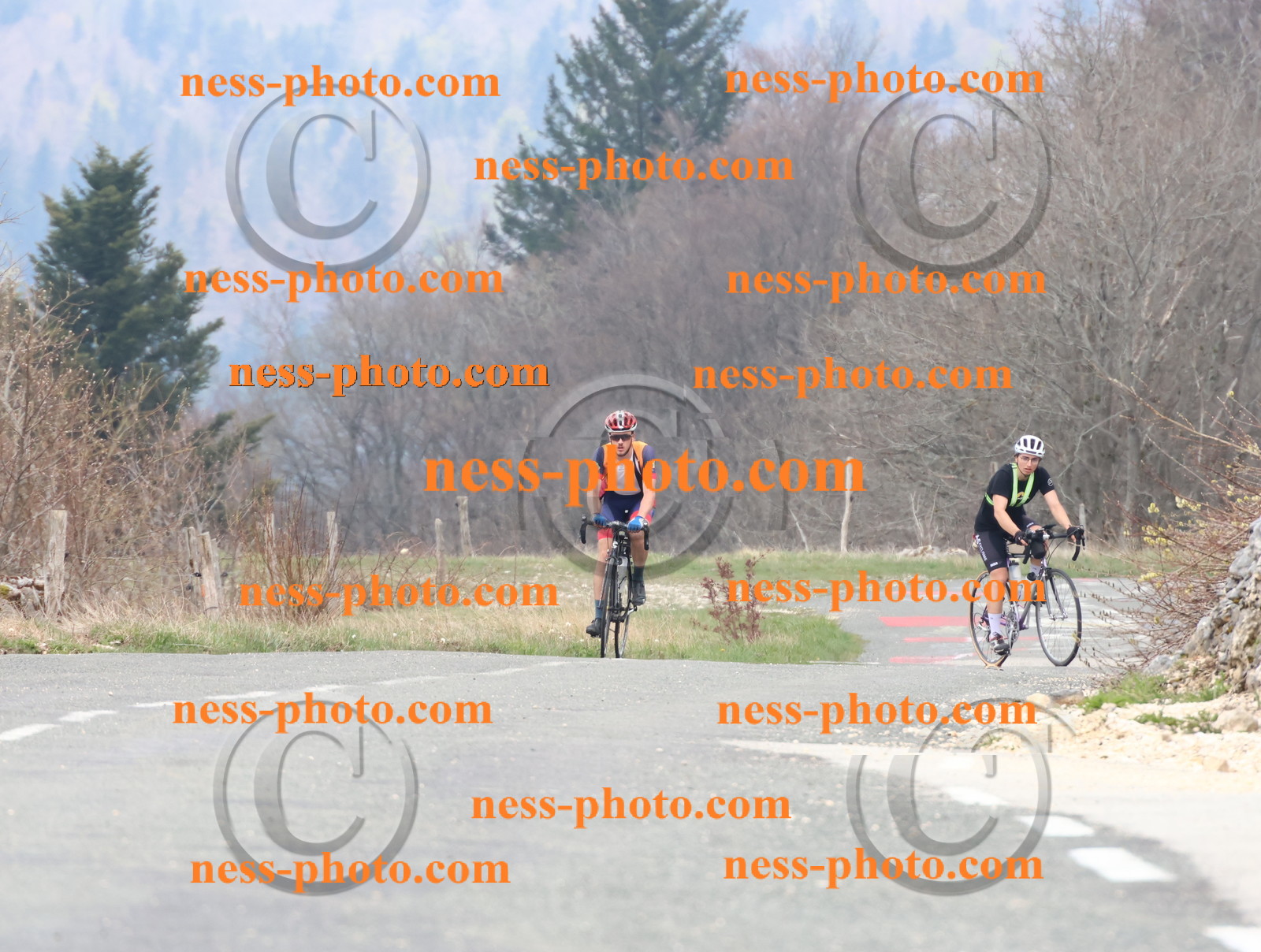 Col du Grand Colombier (107).JPG