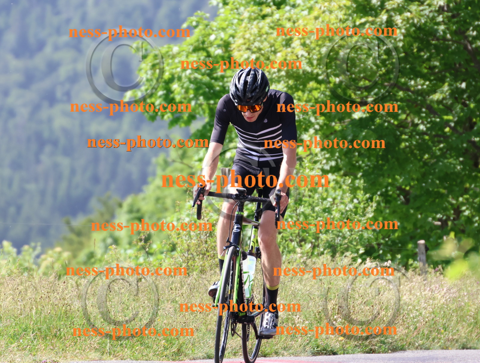 Col du grand Colombier (675).JPG