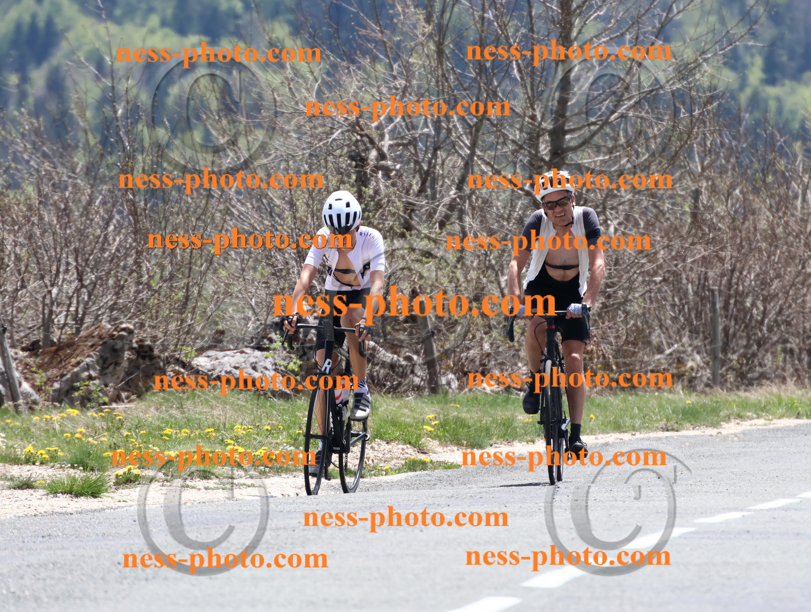 Col du Grand Colombier (746).JPG