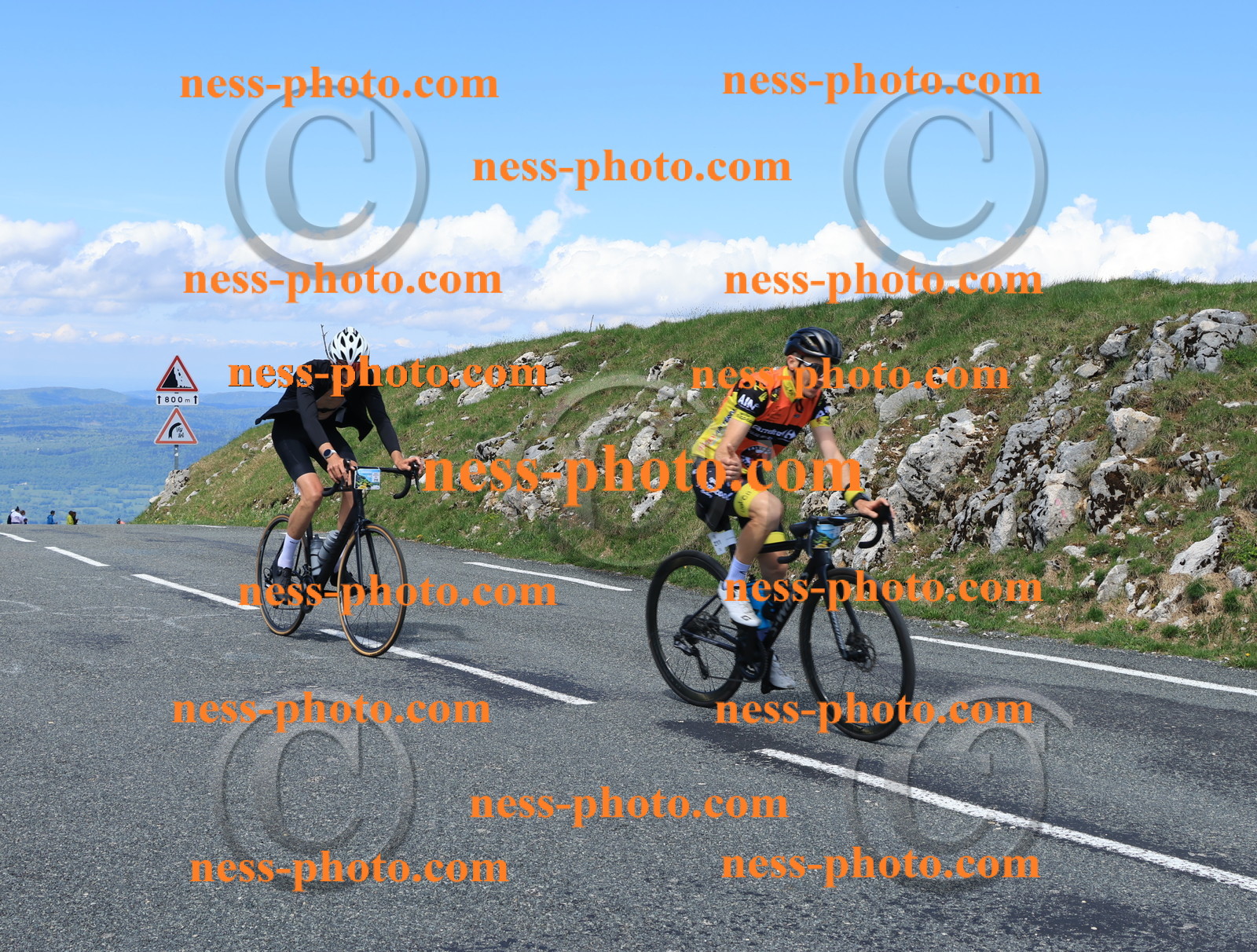 Col du Grand Colombier (1483).JPG