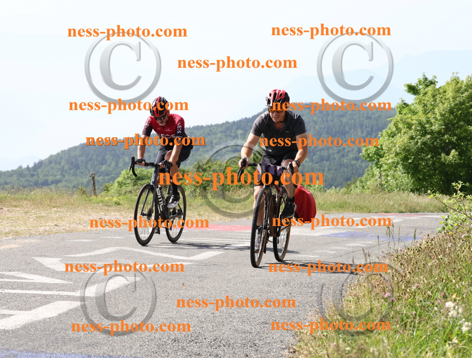 Col du grand Colombier (600).JPG