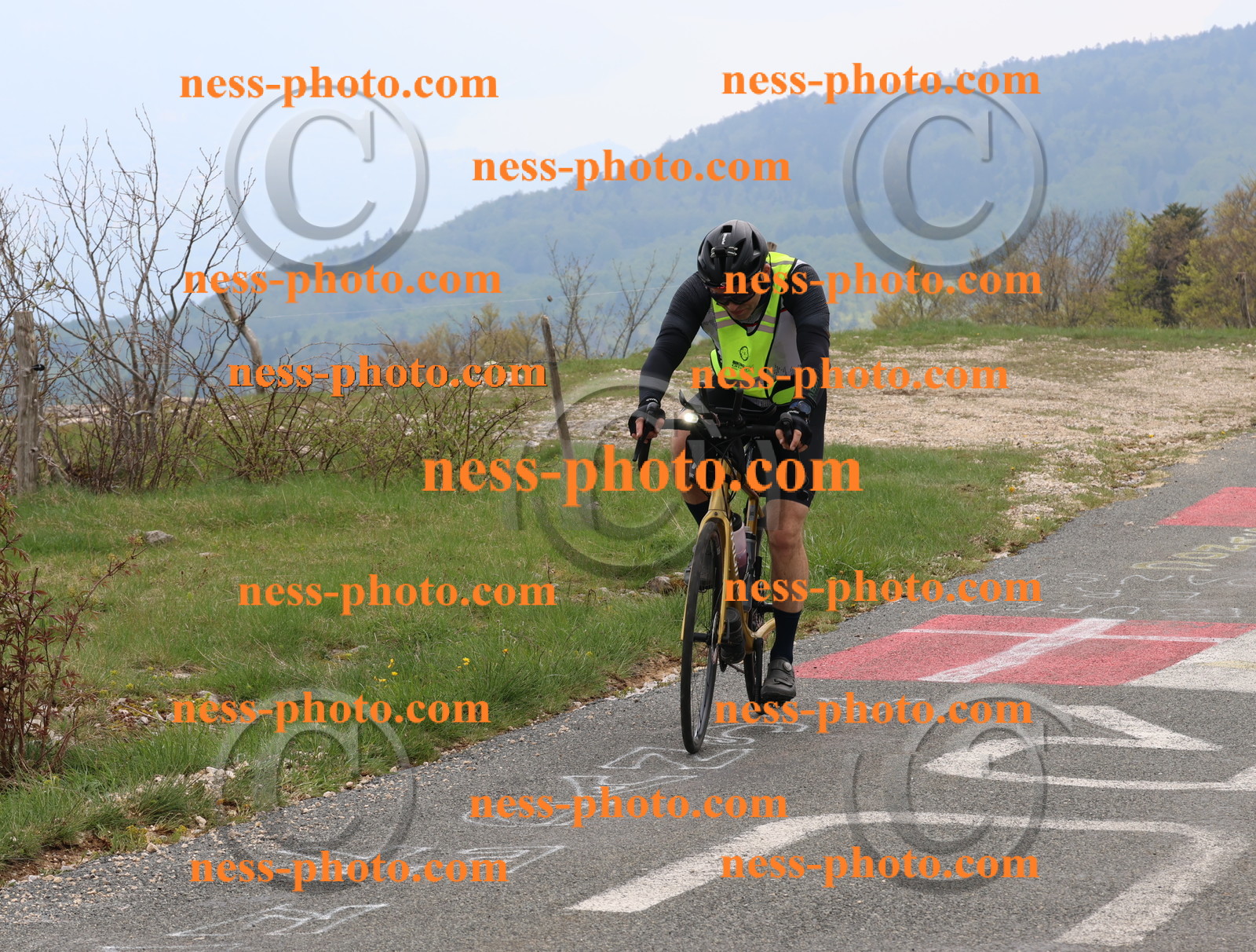 Col du Grand Colombier (151).JPG