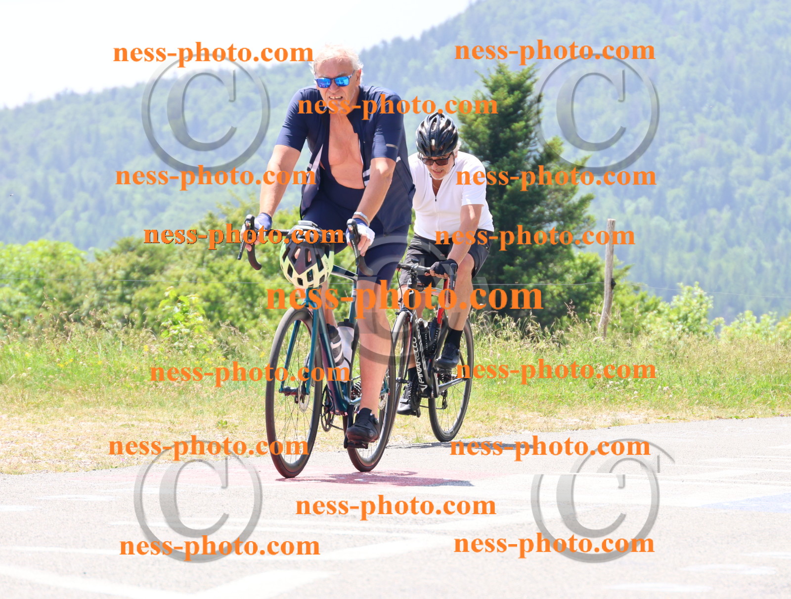 Col du grand Colombier (2646).JPG