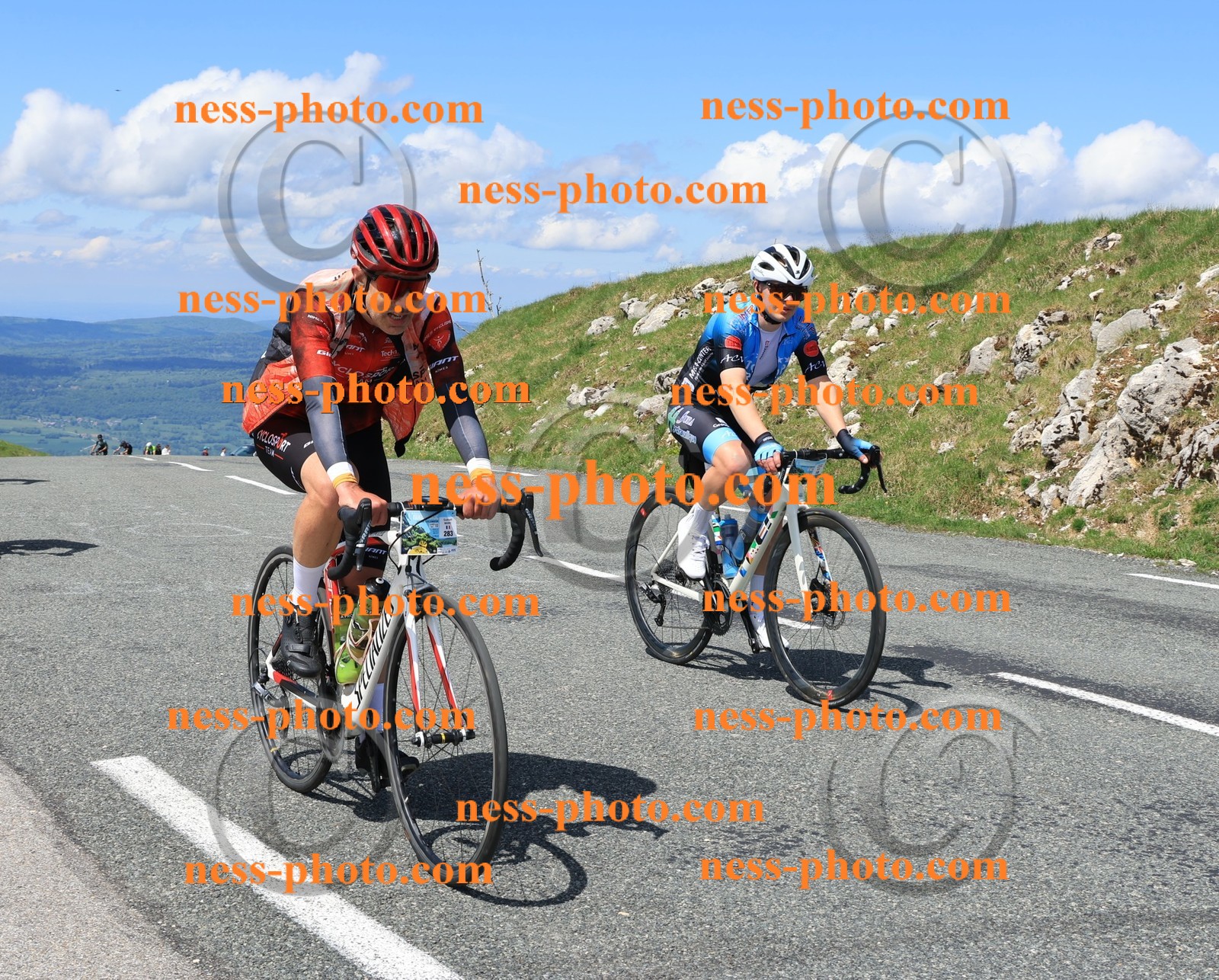 Col du Grand Colombier (2191).JPG