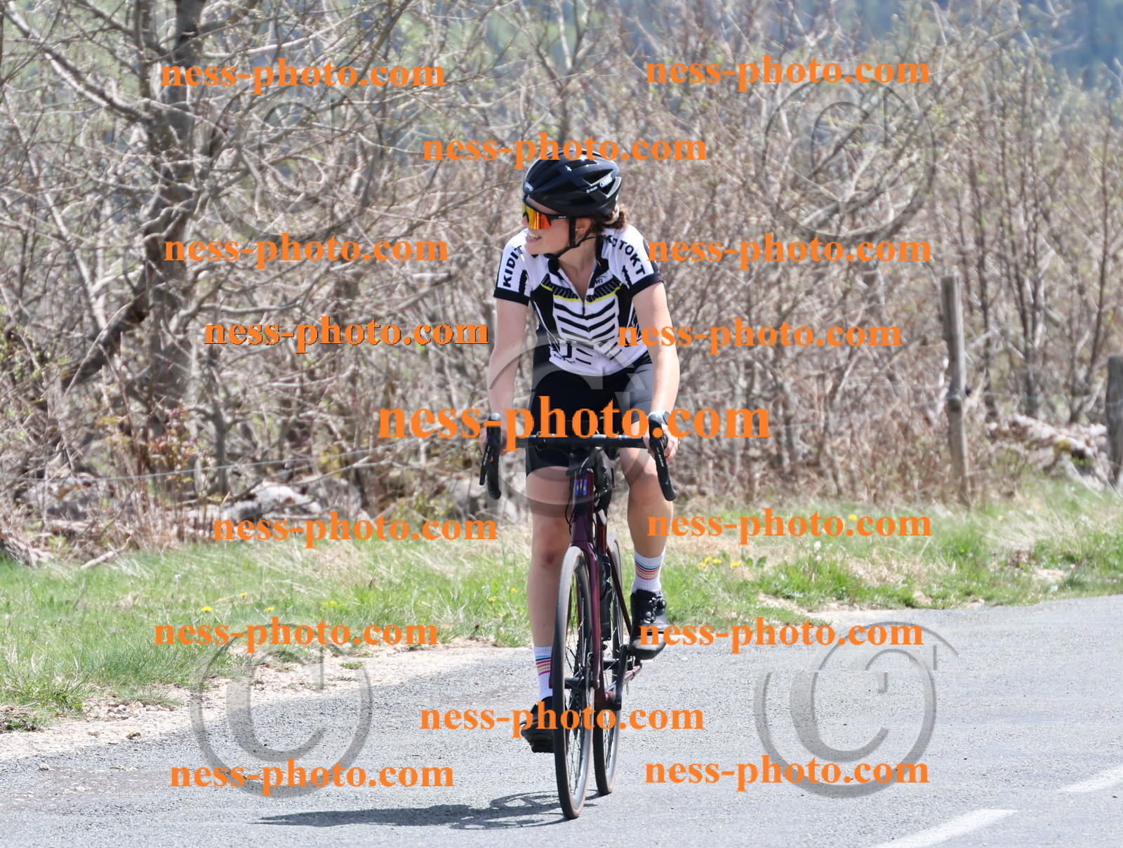 Col du Grand Colombier (866).JPG