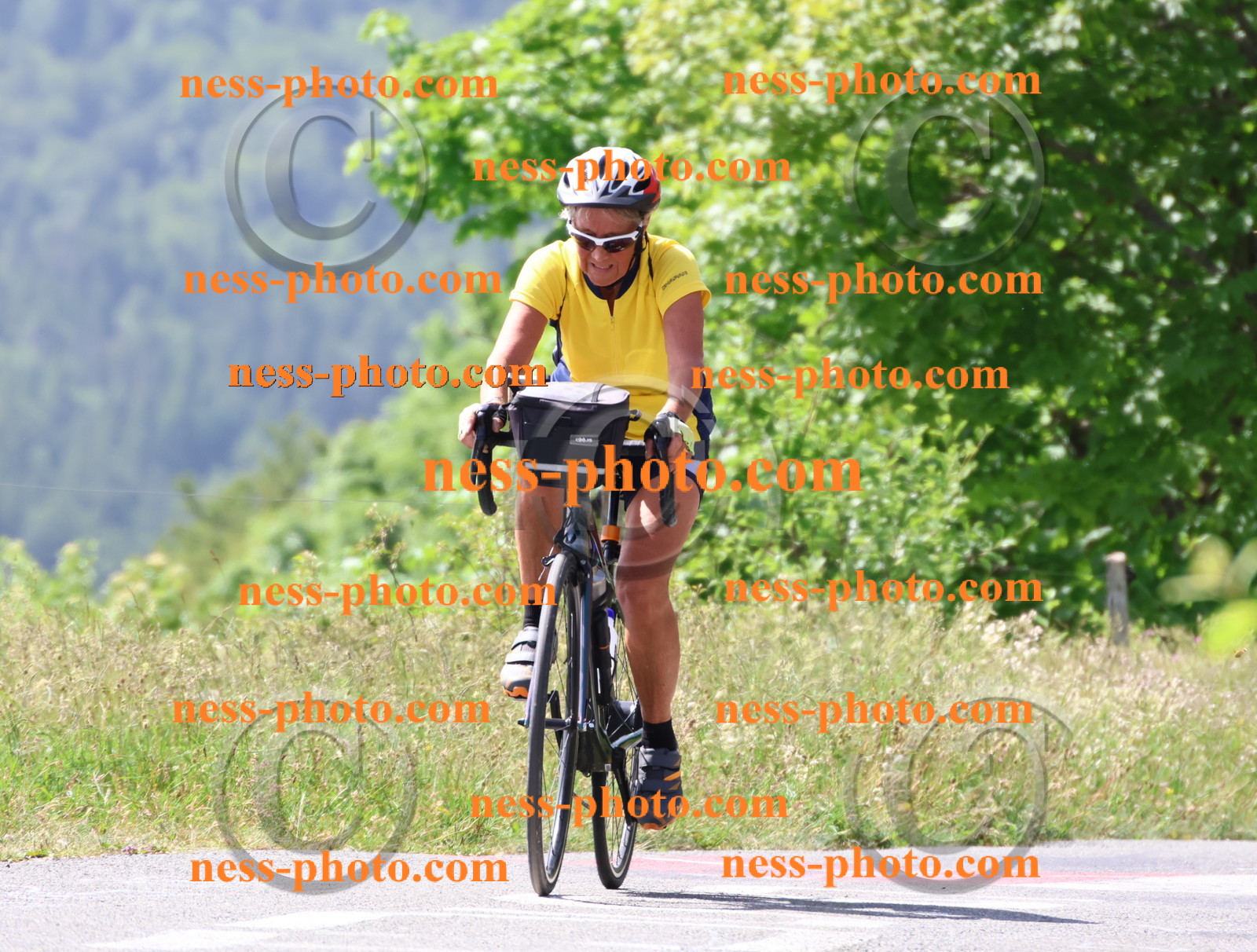 Col du grand Colombier (1525).JPG