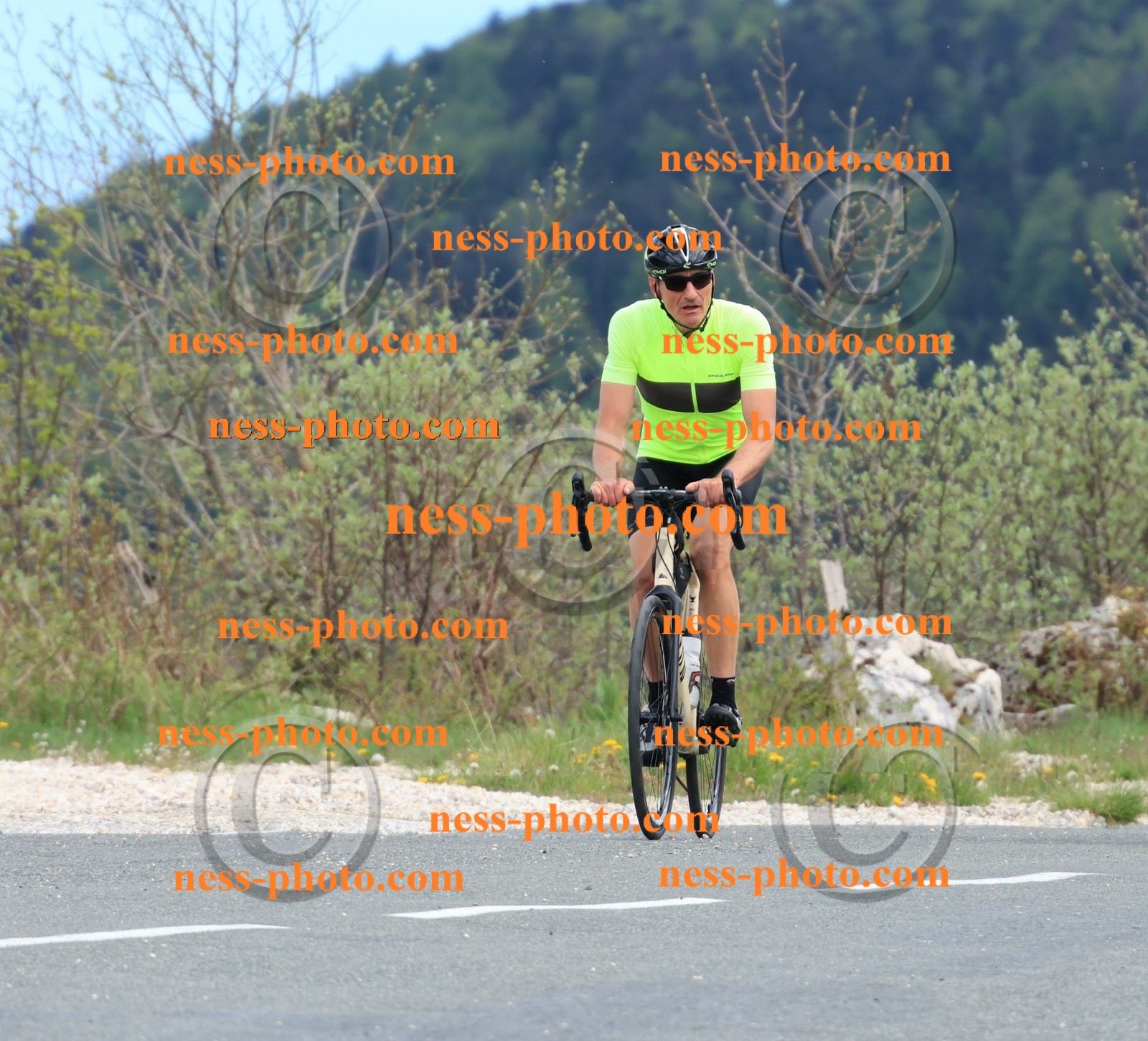 Col du grand Colombier (664).JPG
