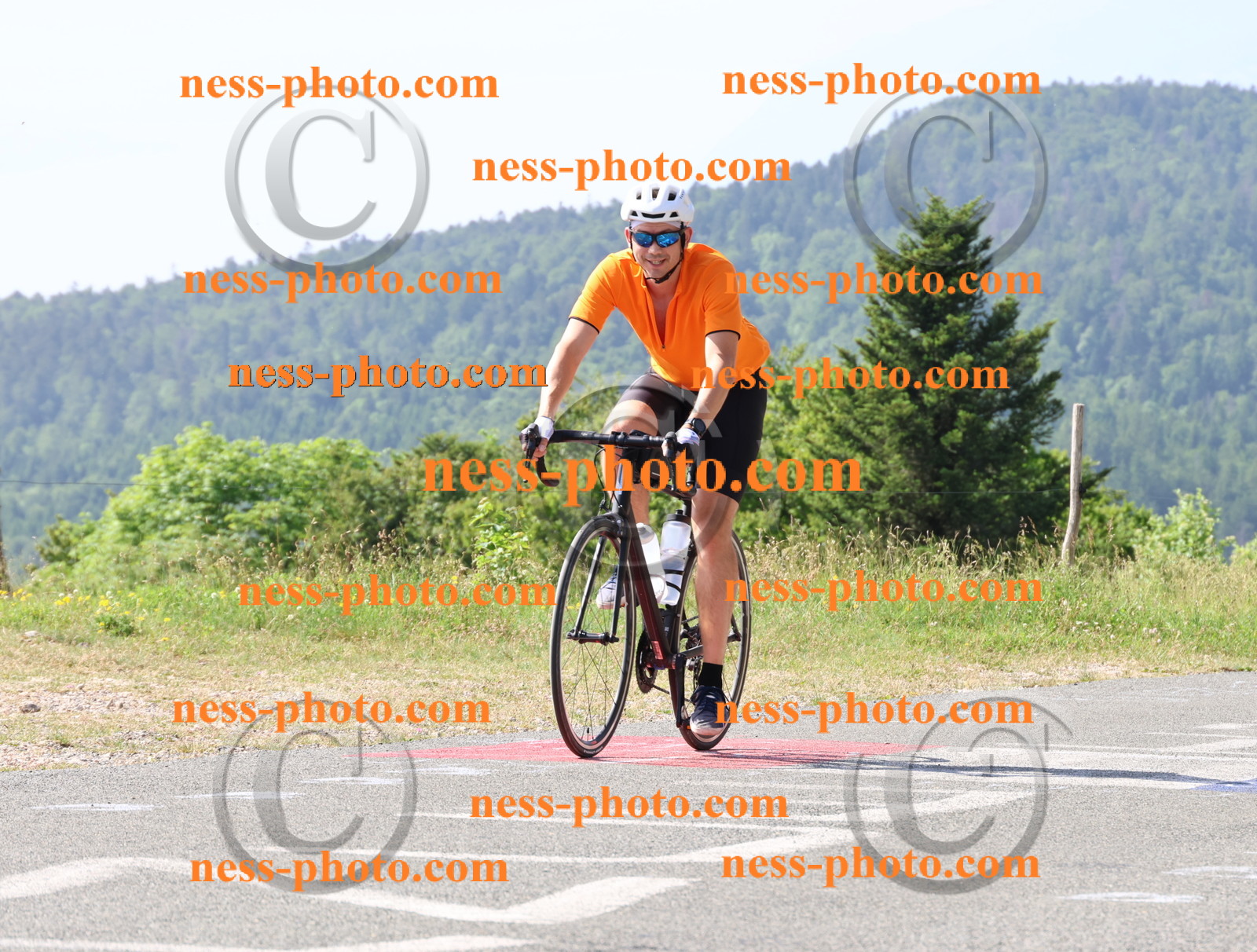 Col du grand Colombier (488).JPG