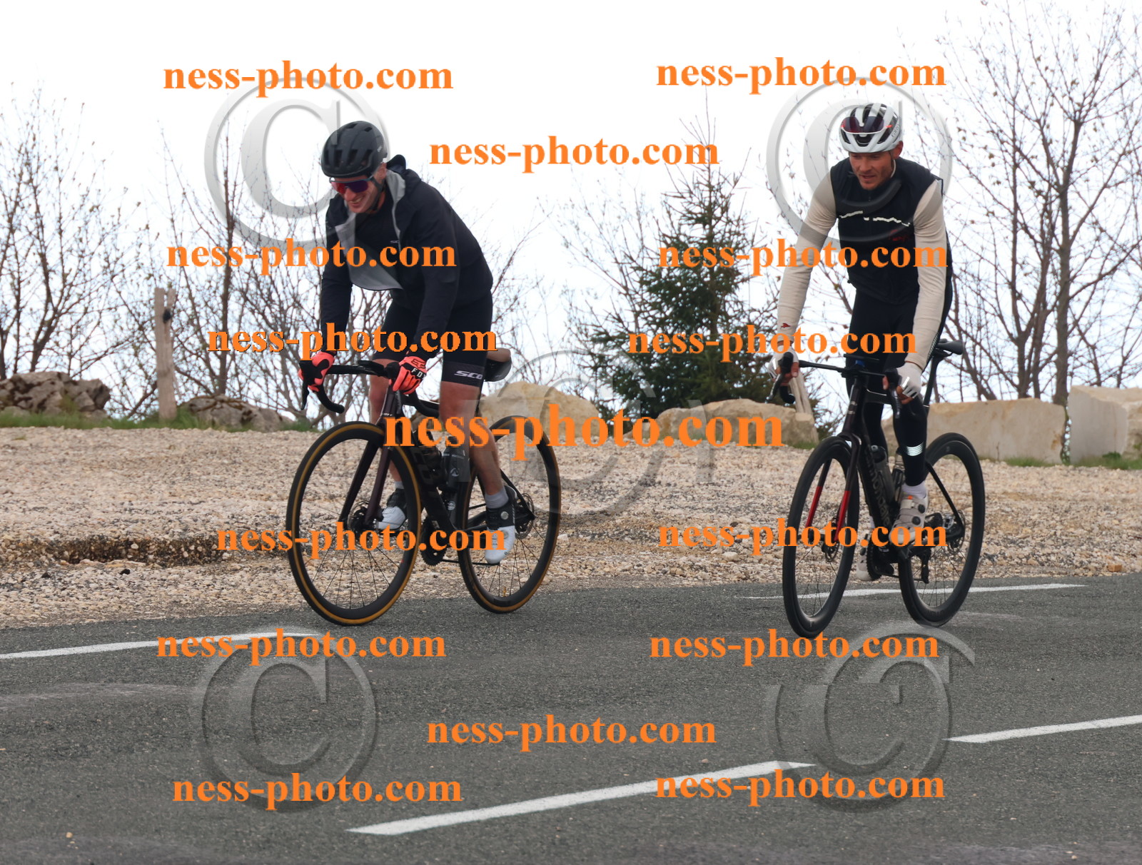 Col du Grand Colombier (220).JPG