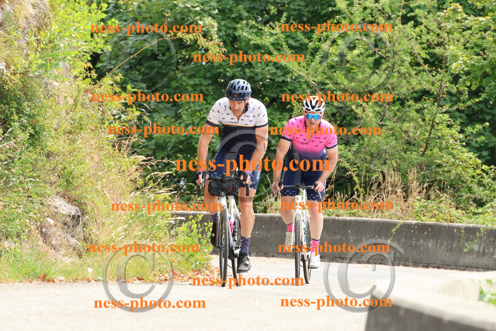 Col du Grand Colombier (220).JPG