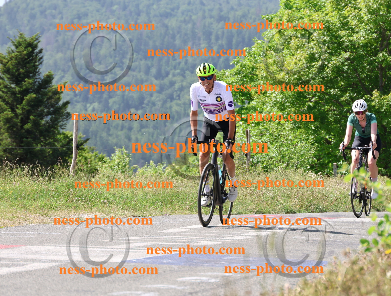 Col du grand Colombier (813).JPG