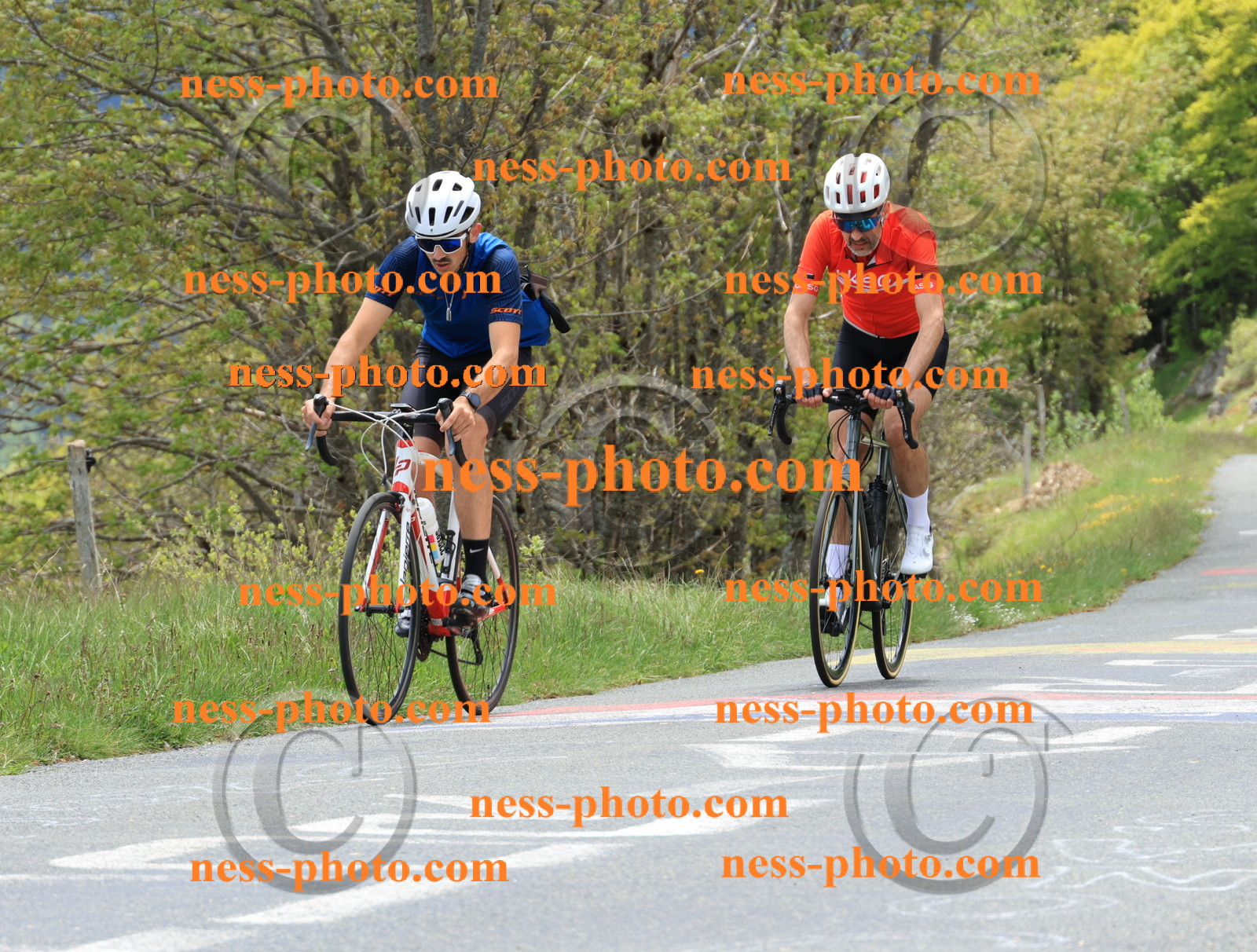 Col du Grand Colombier (479).JPG