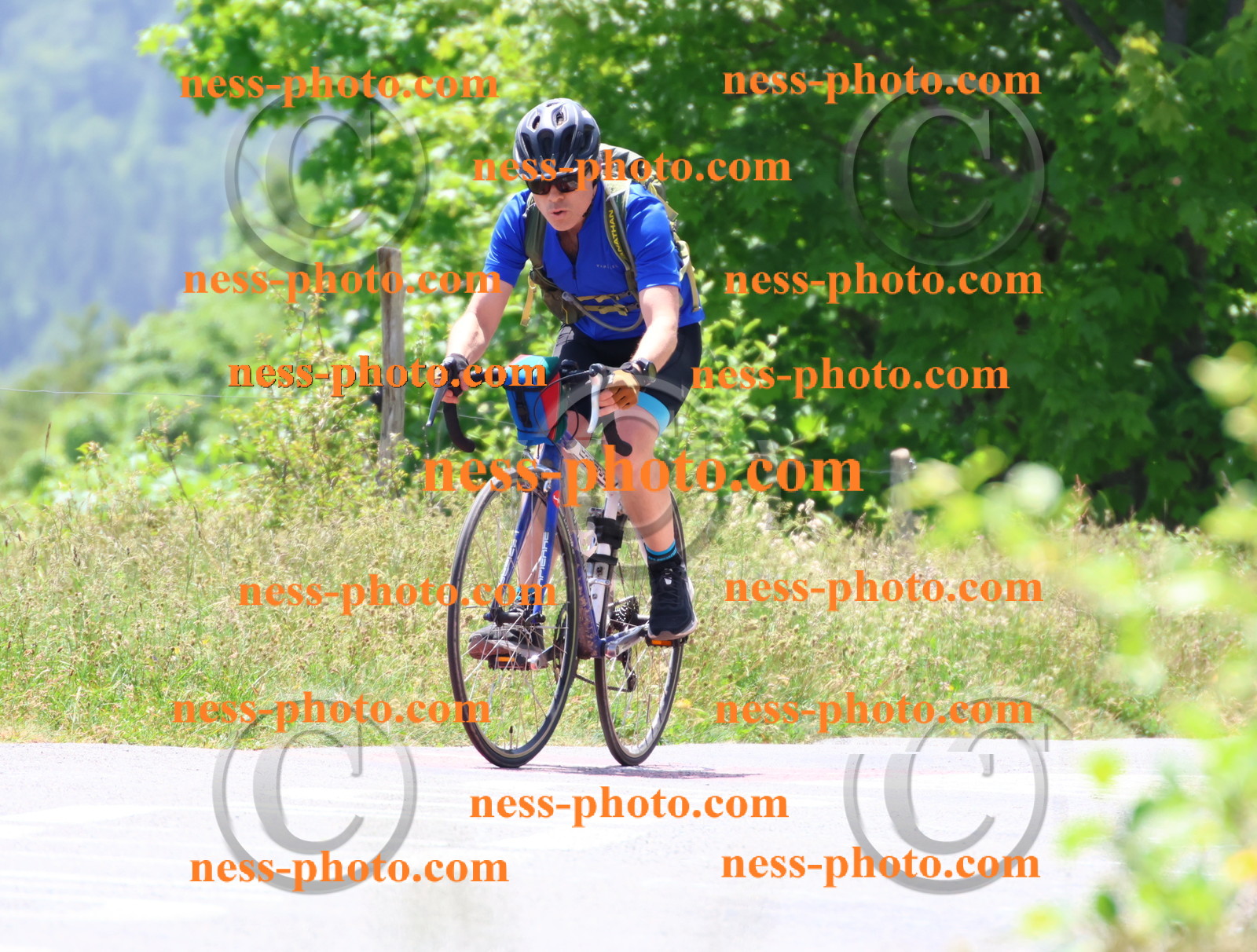 Col du grand Colombier (2781).JPG