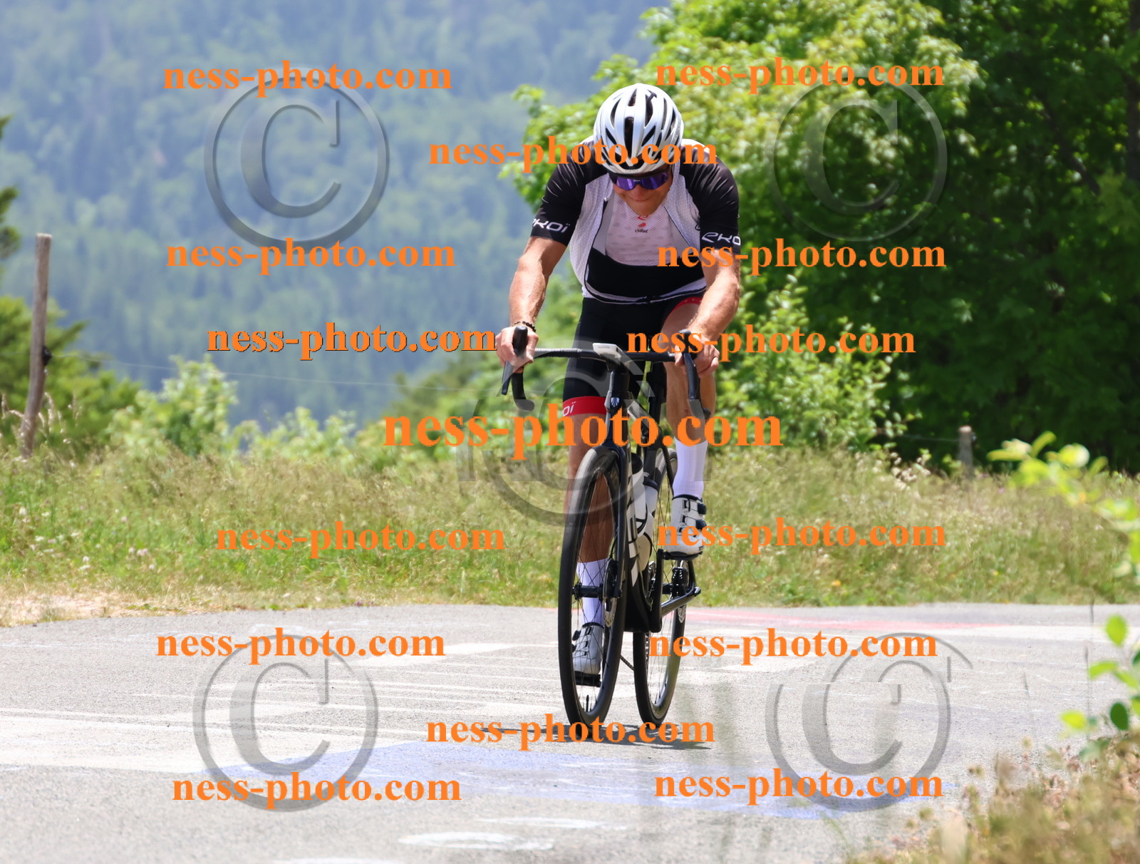 Col du grand Colombier (3021).JPG