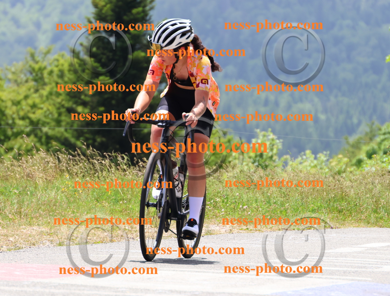 Col du grand Colombier (2930).JPG