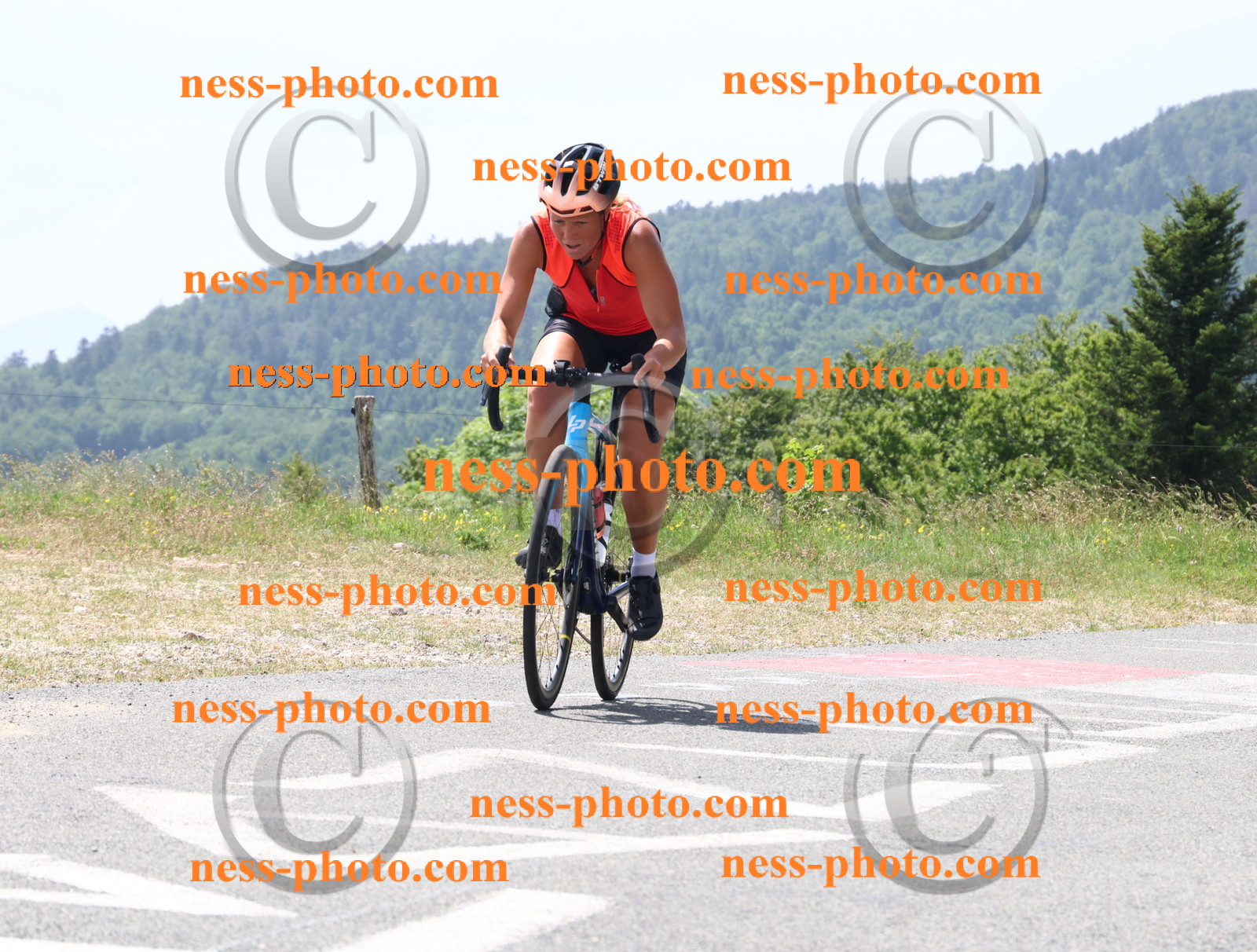 Col du grand Colombier (2066).JPG