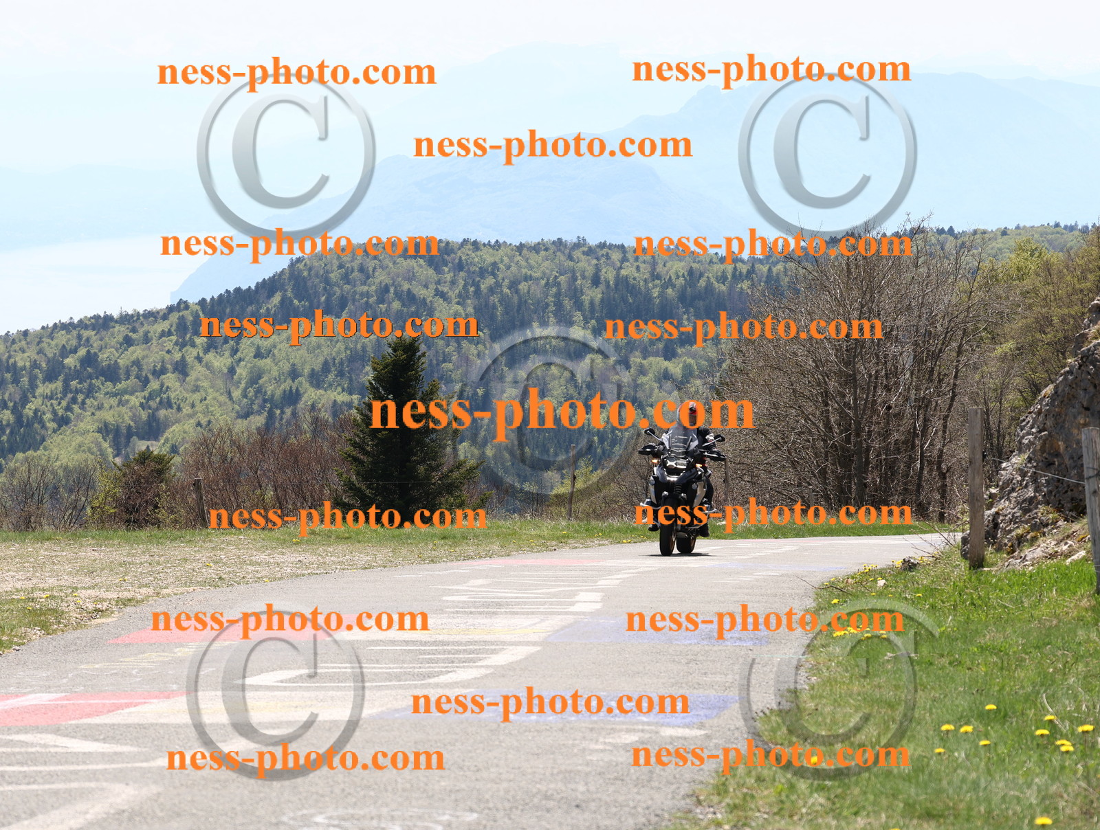 Col du Grand Colombier (57).JPG