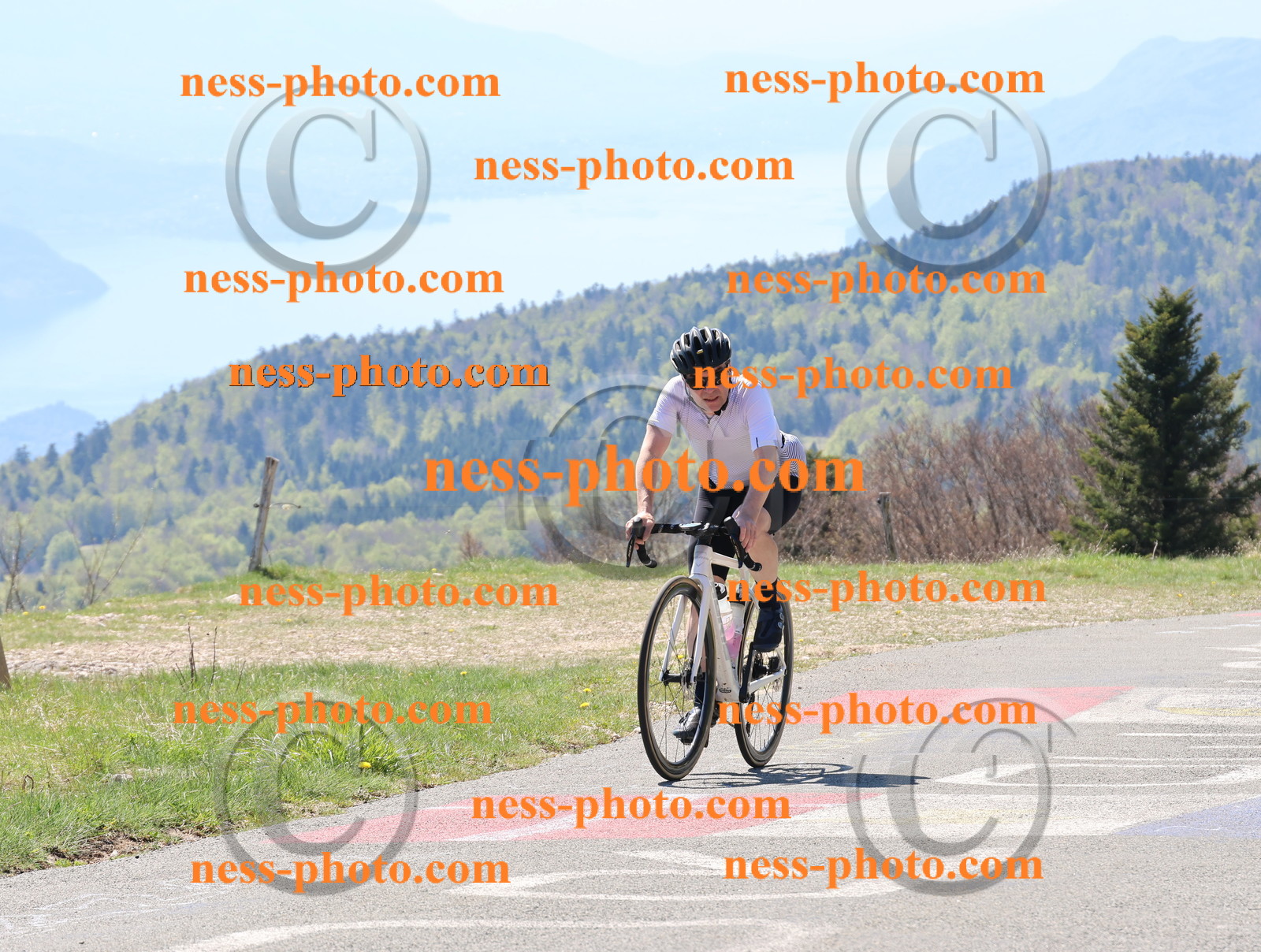 Col du Grand Colombier (206).JPG