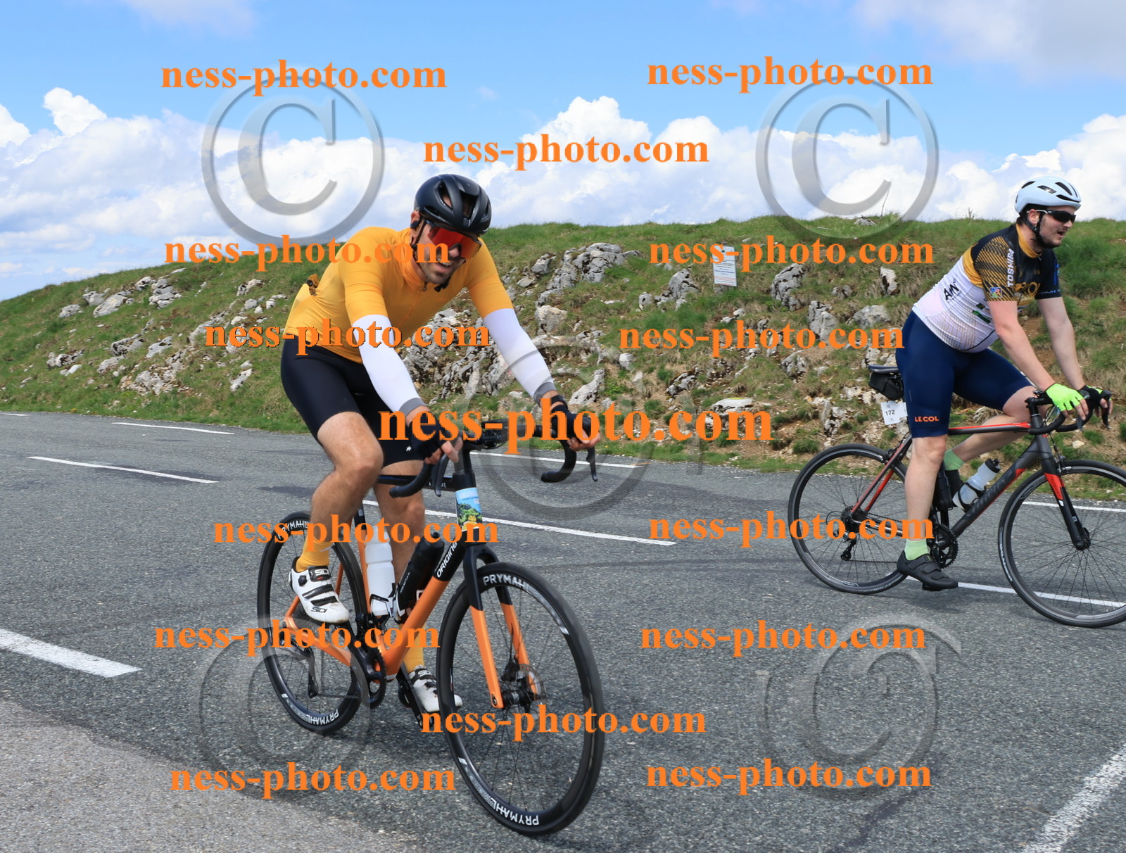 Col du Grand Colombier (2630).JPG