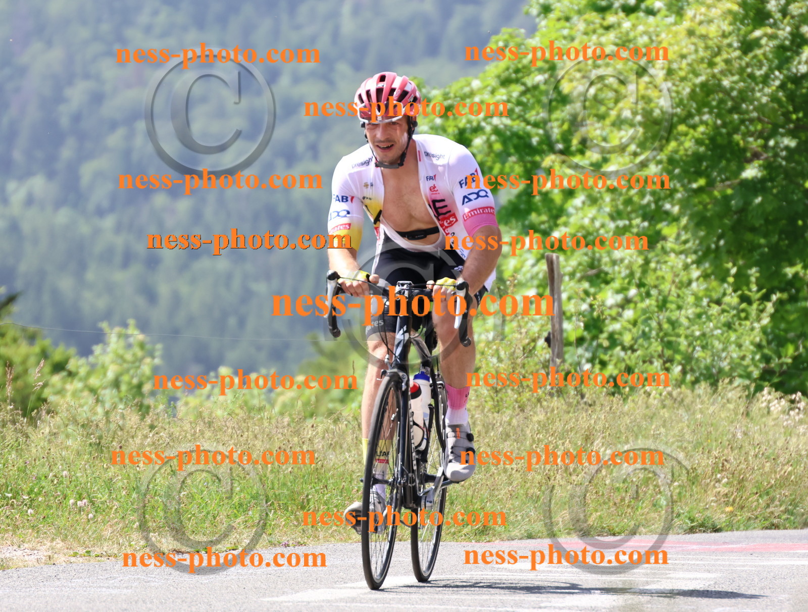 Col du grand Colombier (1356).JPG