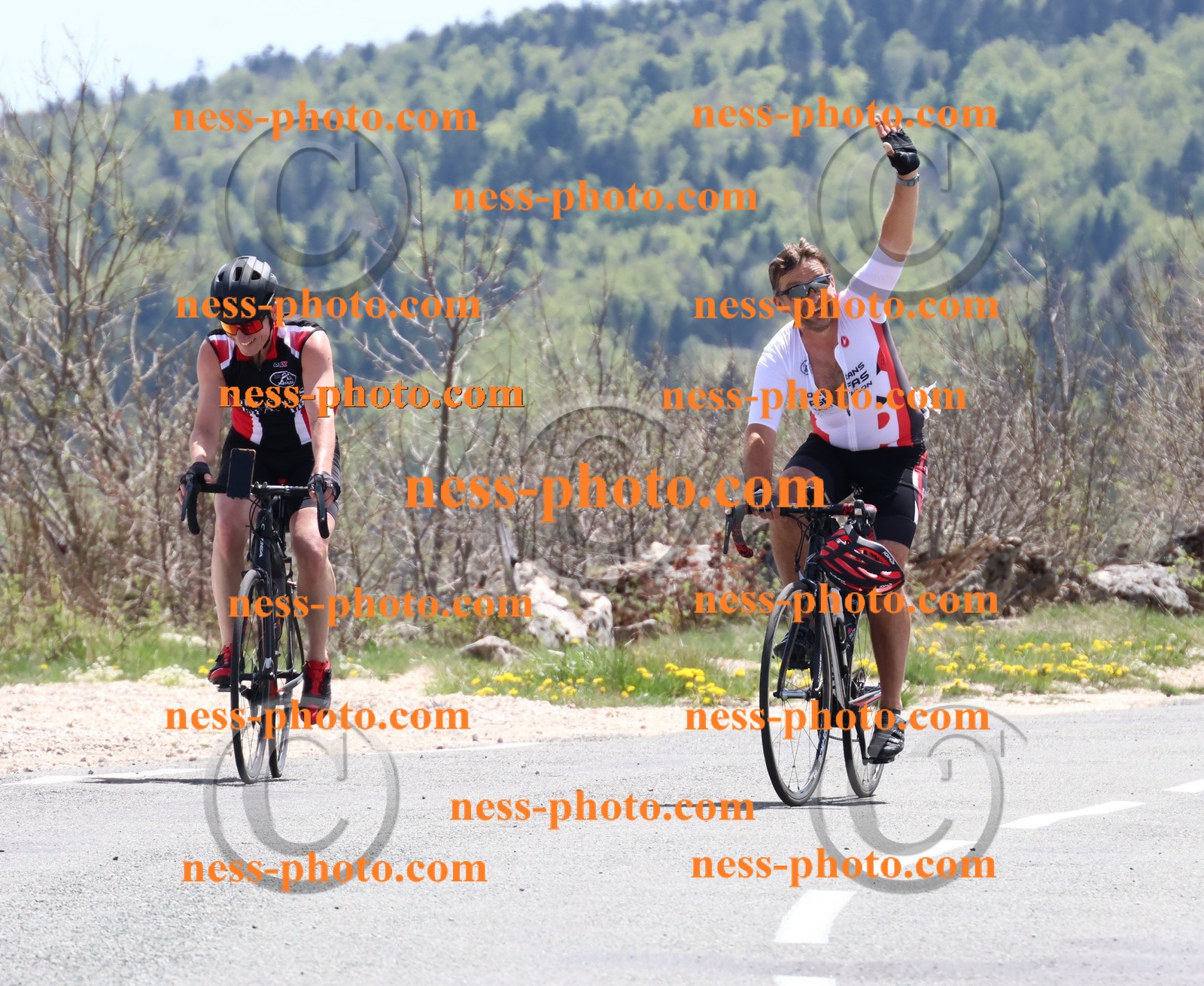 Col du Grand Colombier (730).JPG