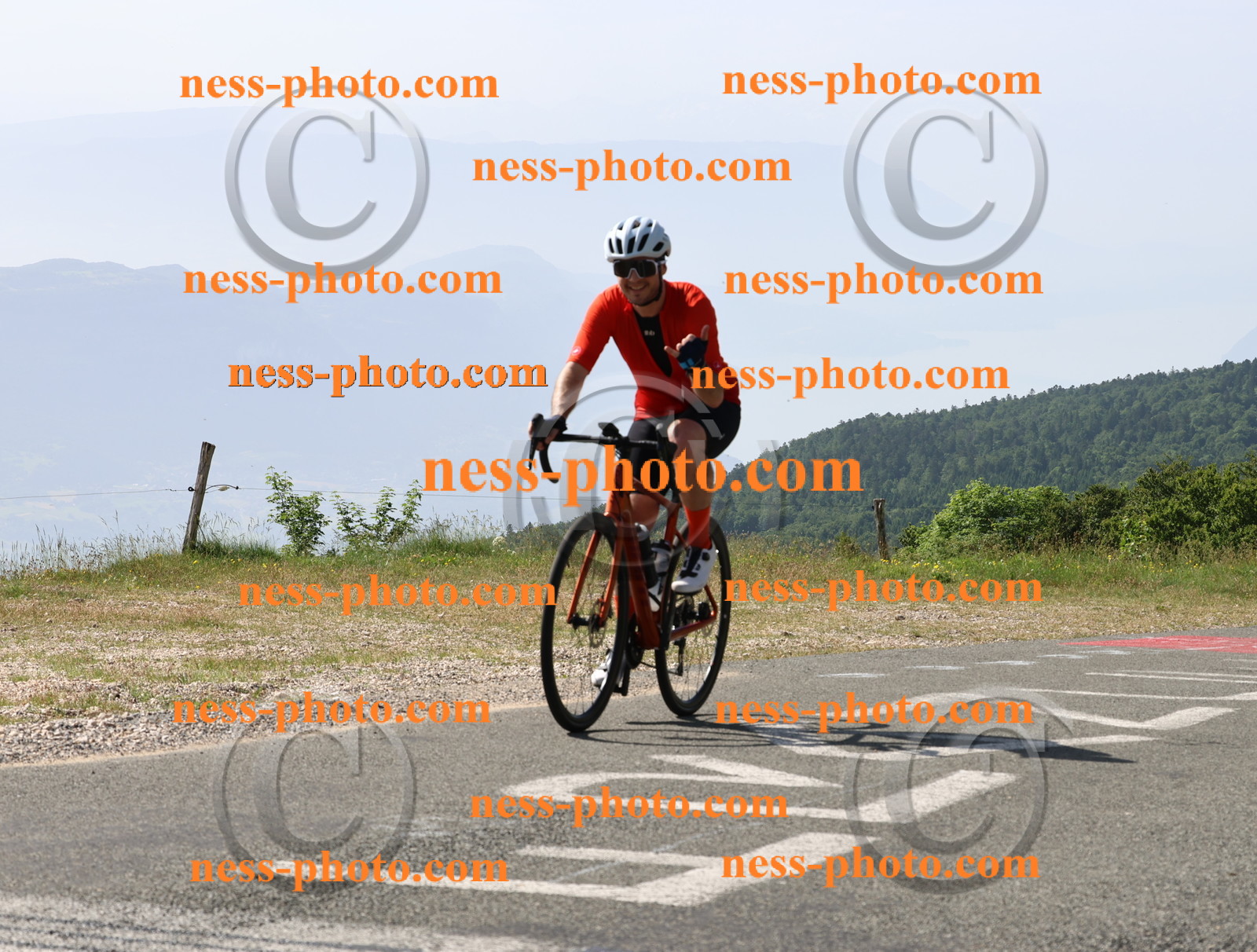 Col du grand Colombier (481).JPG