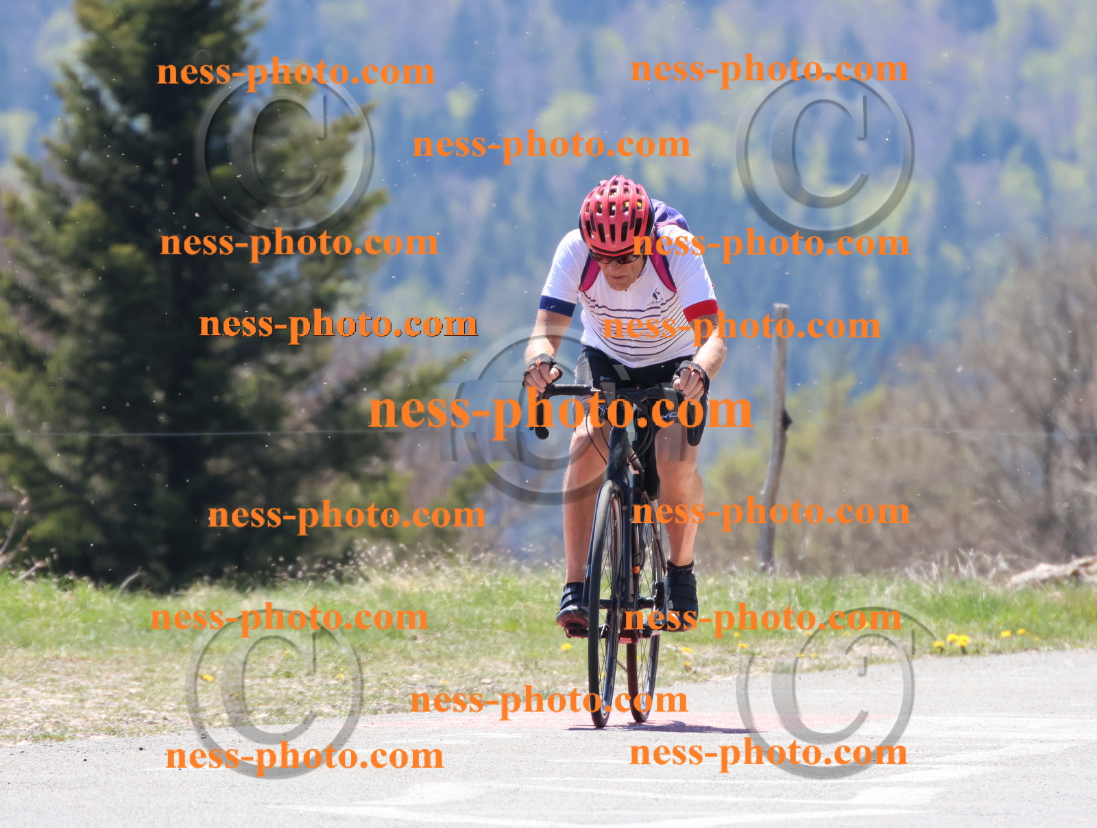 Col du Grand Colombier (420).JPG