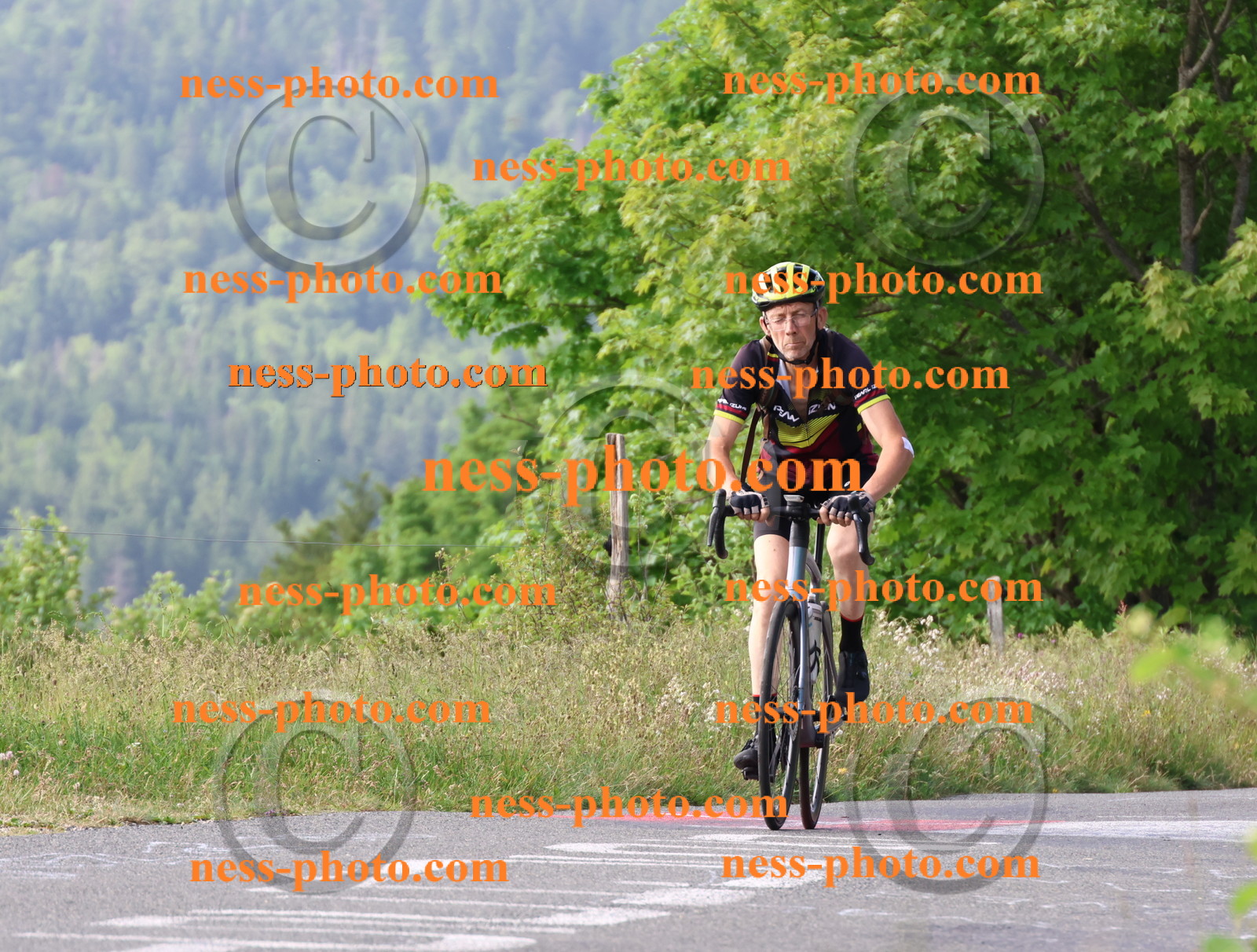 Col du grand Colombier (78).JPG