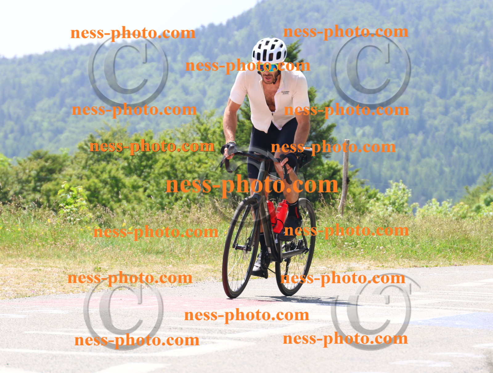 Col du grand Colombier (2528).JPG