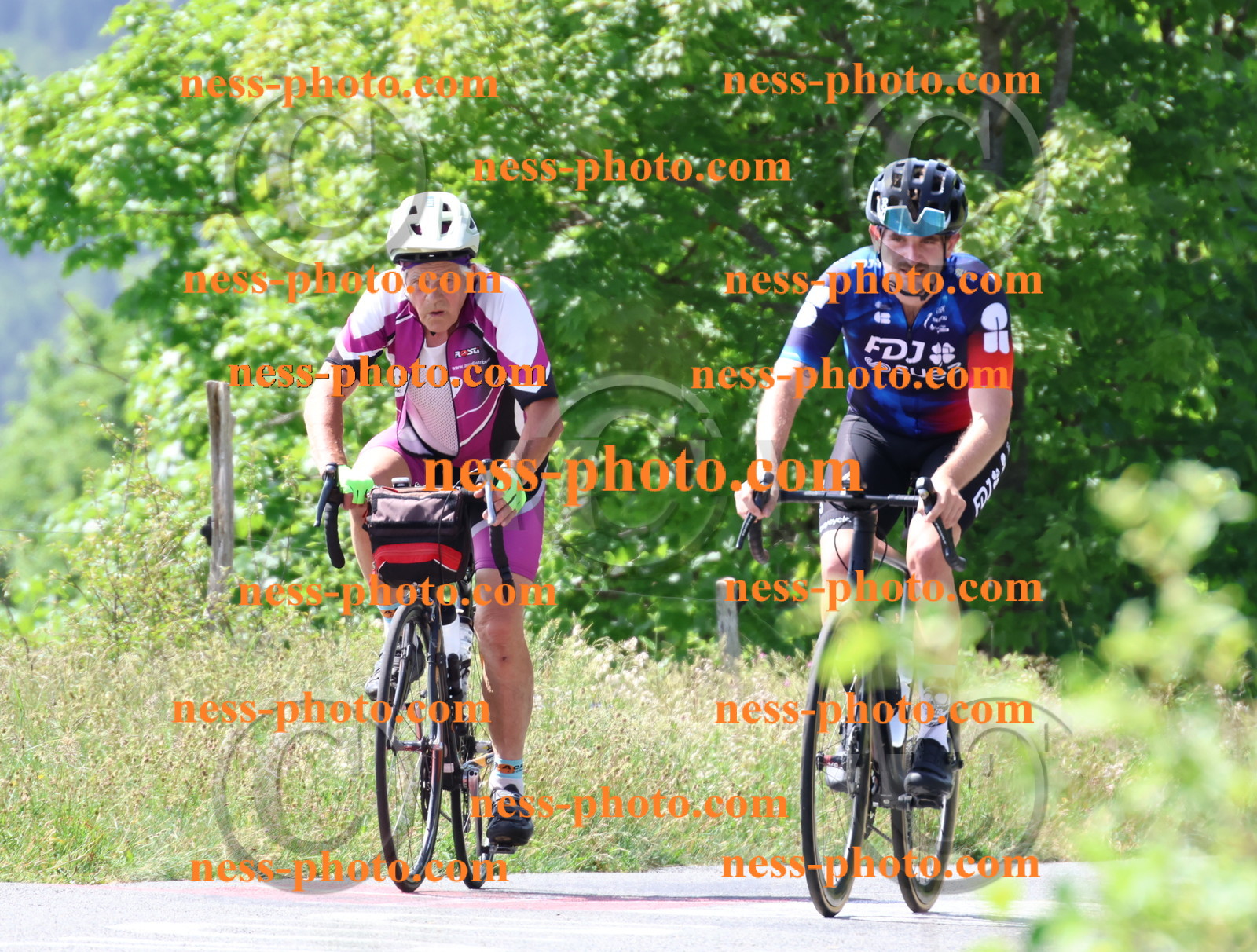 Col du grand Colombier (1391).JPG