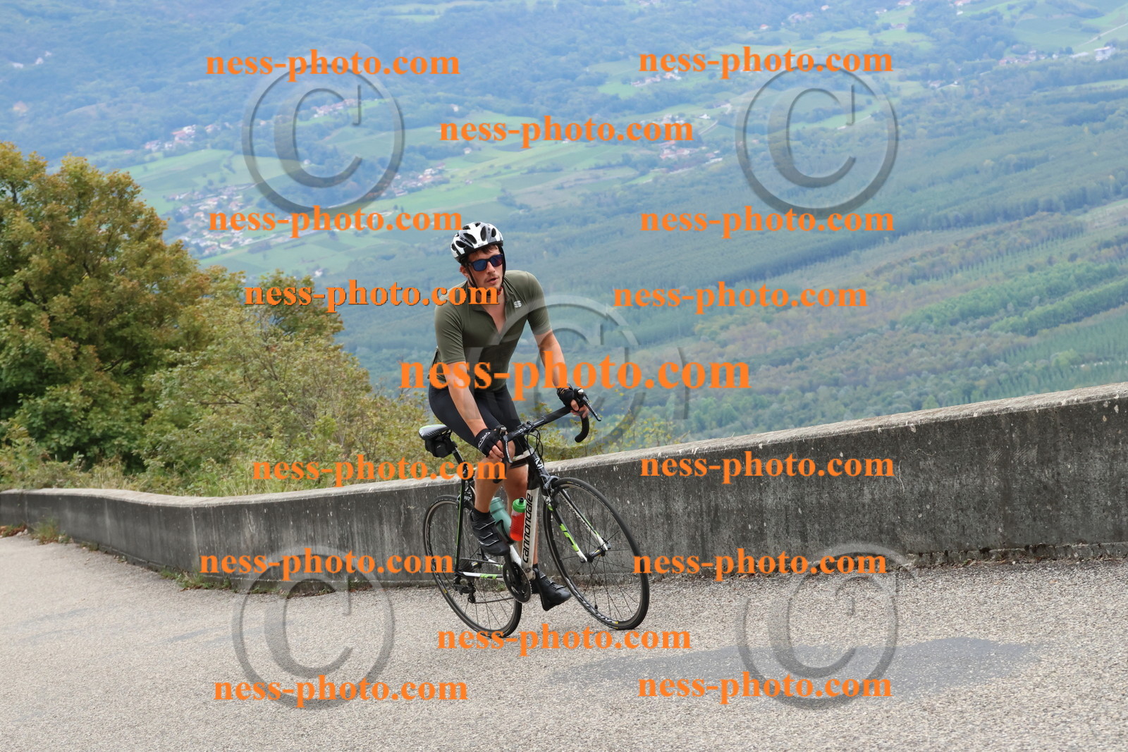 Col du Grand Colombier (2460).JPG