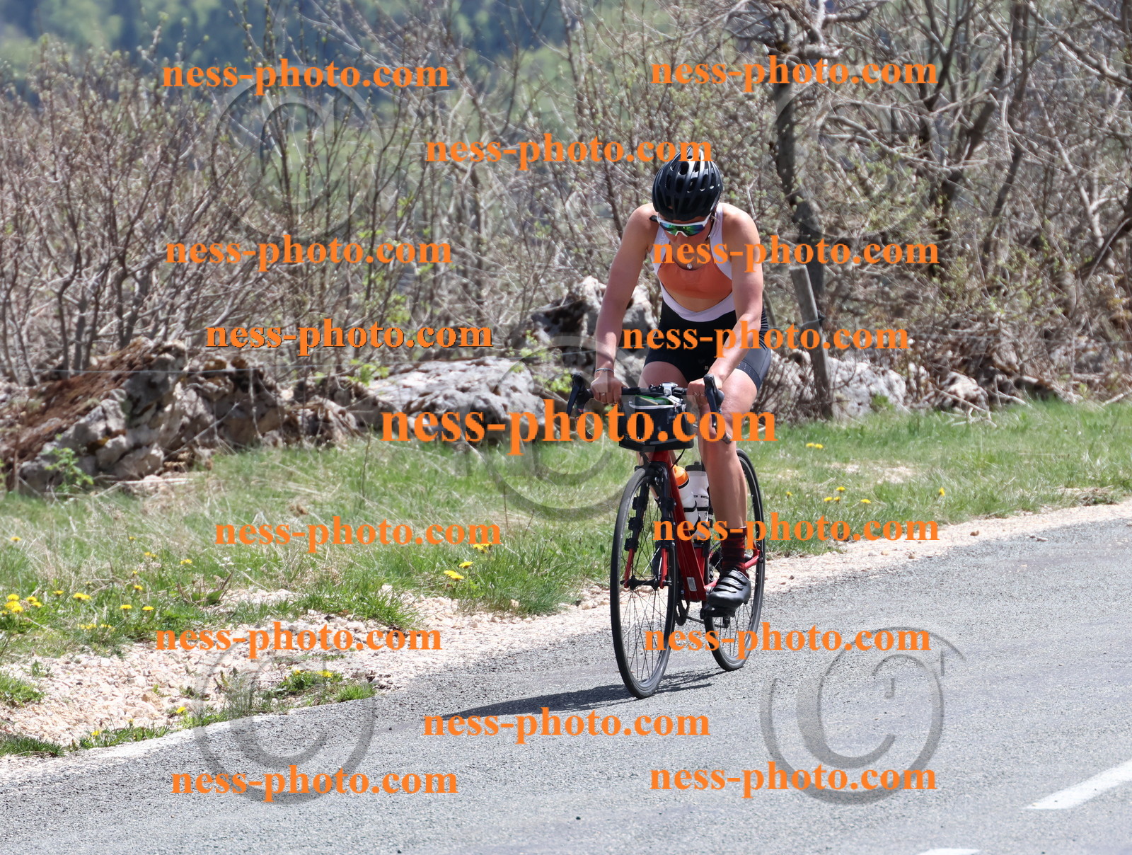 Col du Grand Colombier (833).JPG