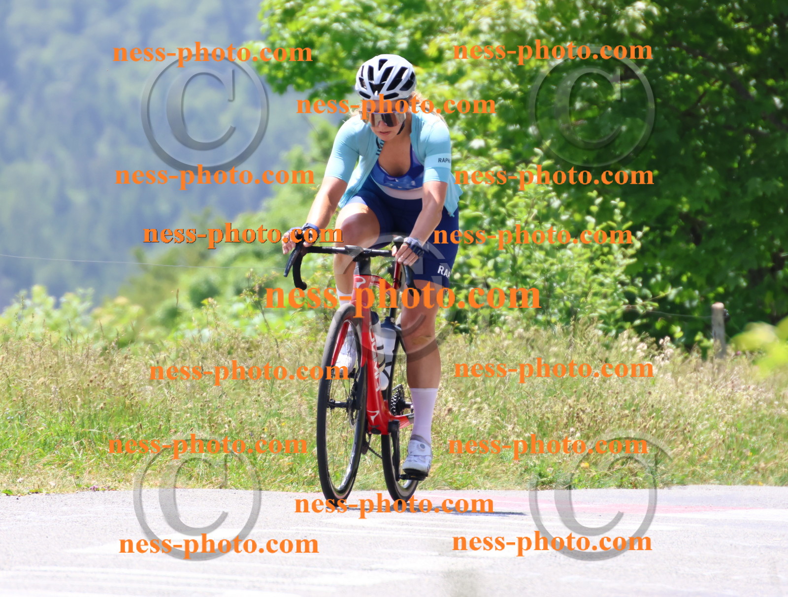 Col du grand Colombier (2667).JPG