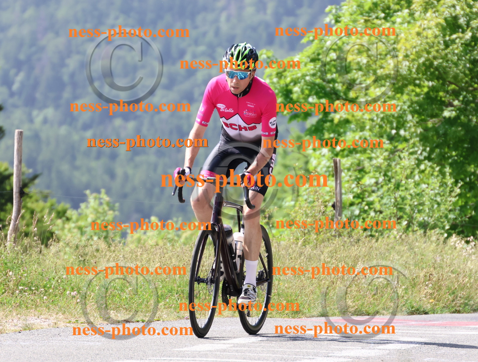 Col du grand Colombier (970).JPG