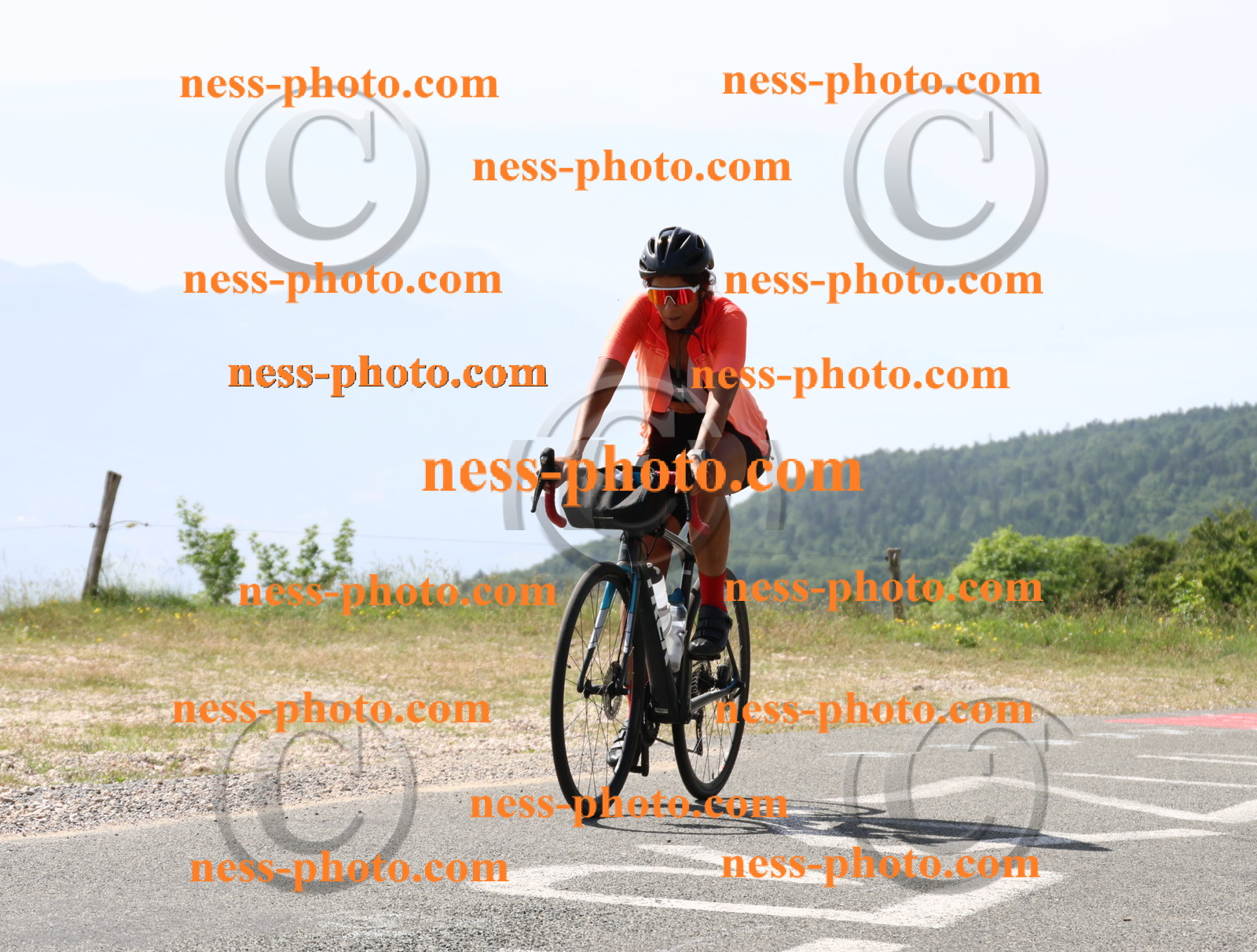 Col du grand Colombier (981).JPG