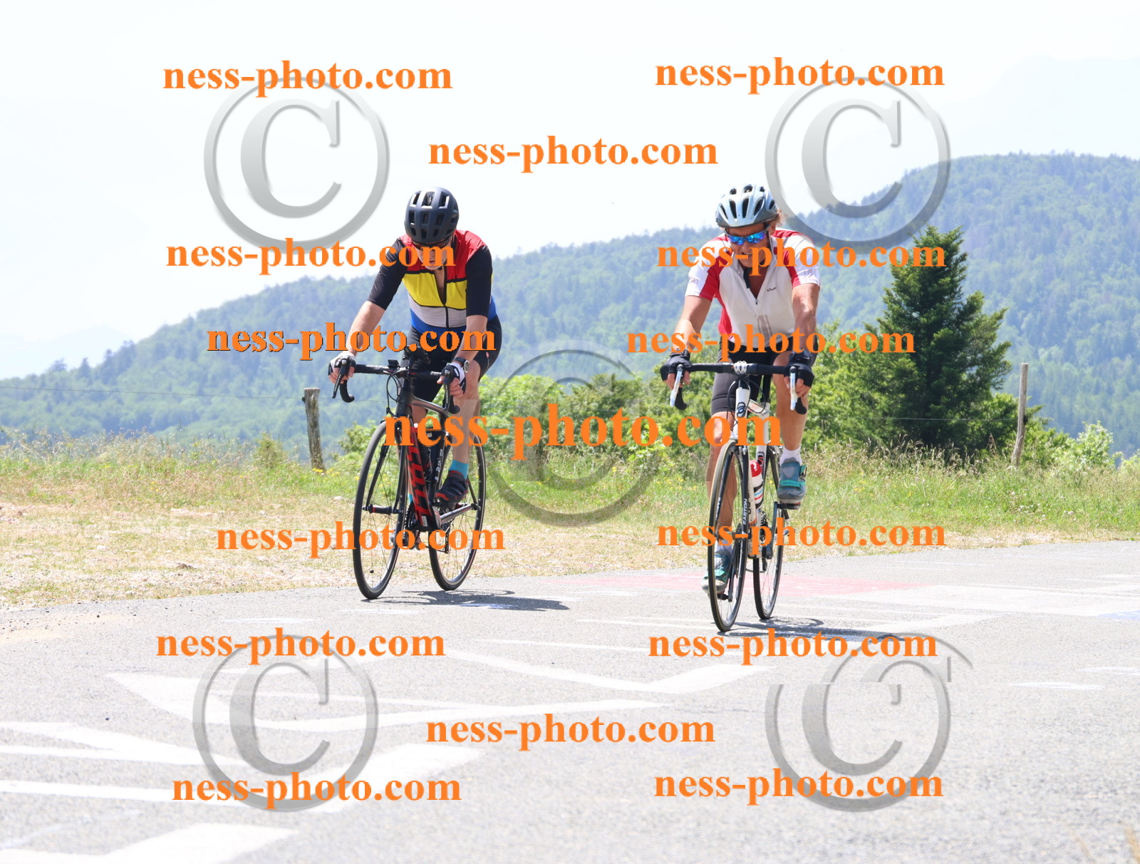 Col du grand Colombier (2476).JPG