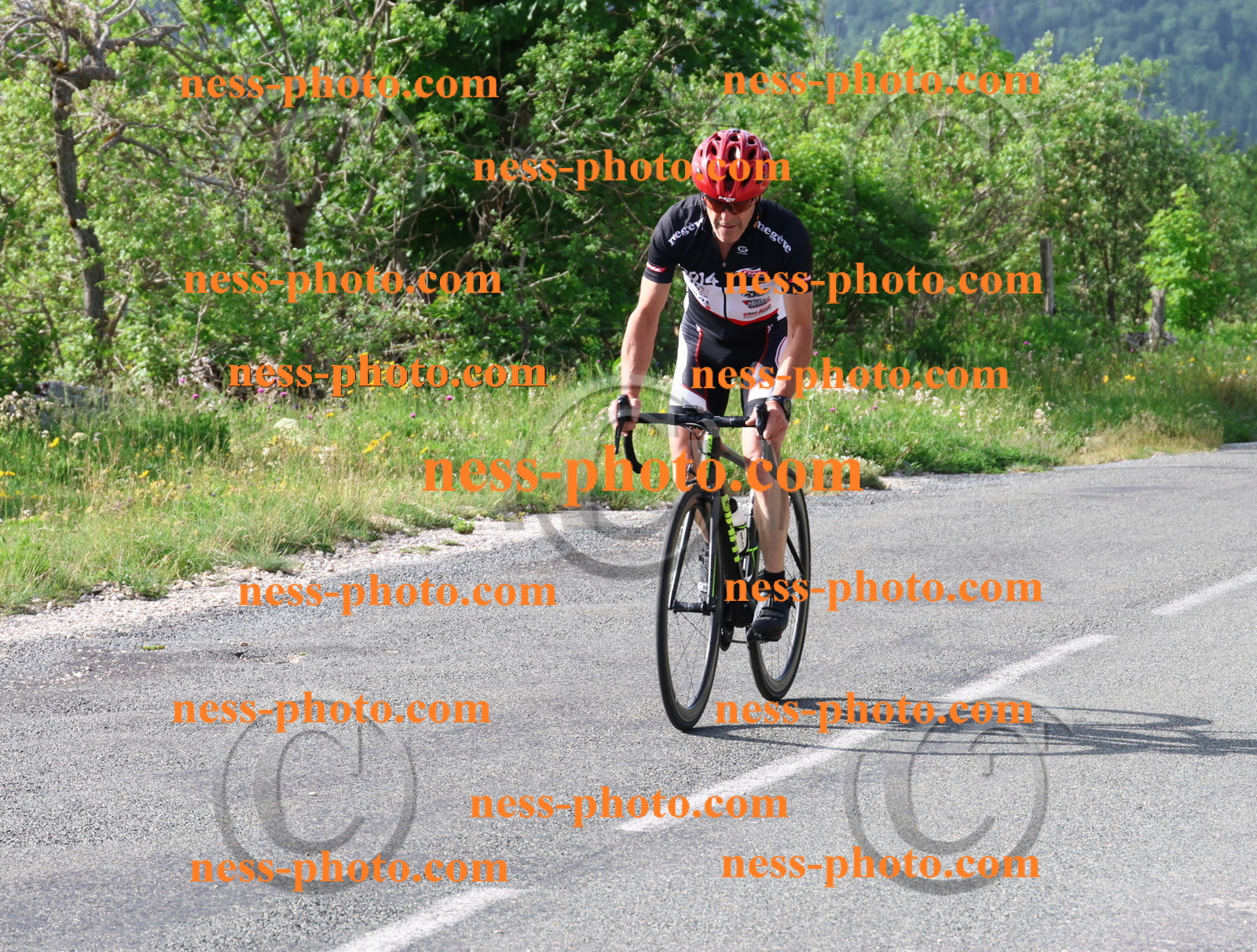 Col du grand Colombier (28).JPG