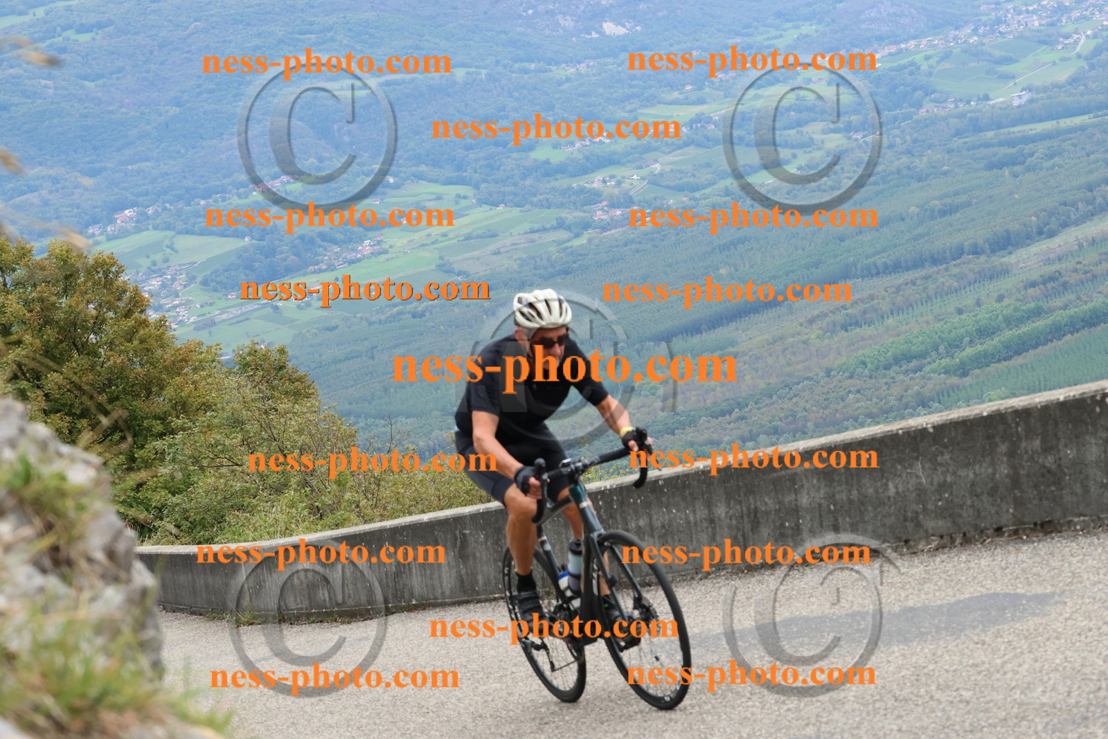 Col du Grand Colombier (2452).JPG