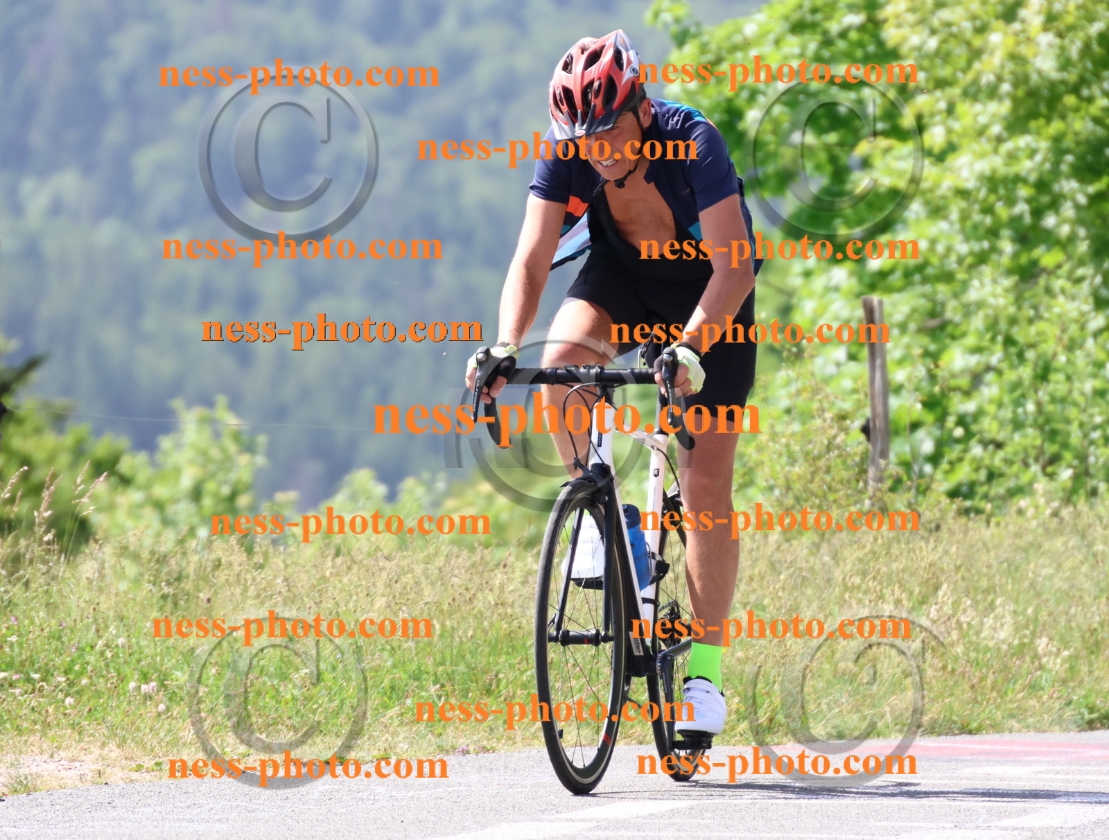 Col du grand Colombier (1197).JPG