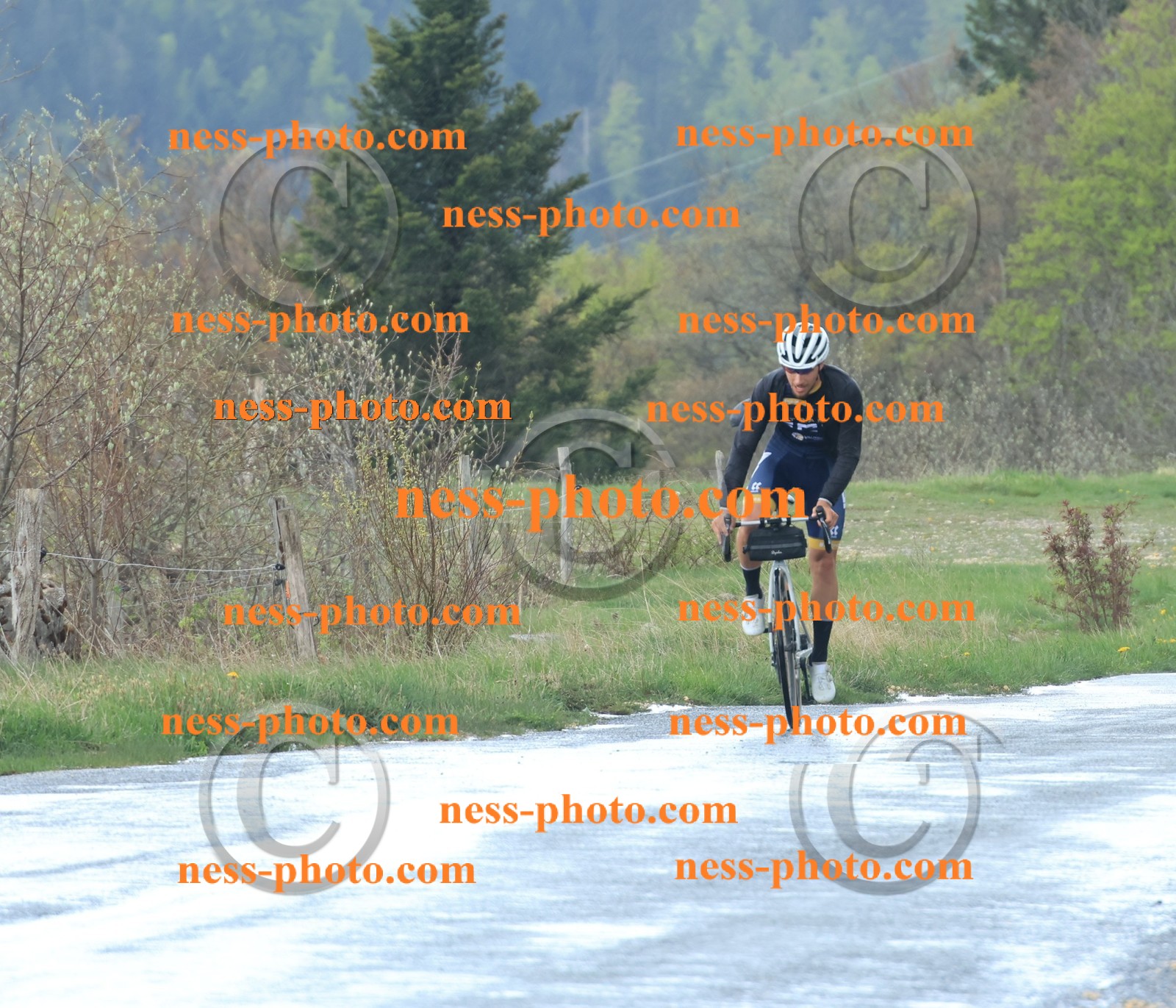 Col du Grand Colombier (237).JPG